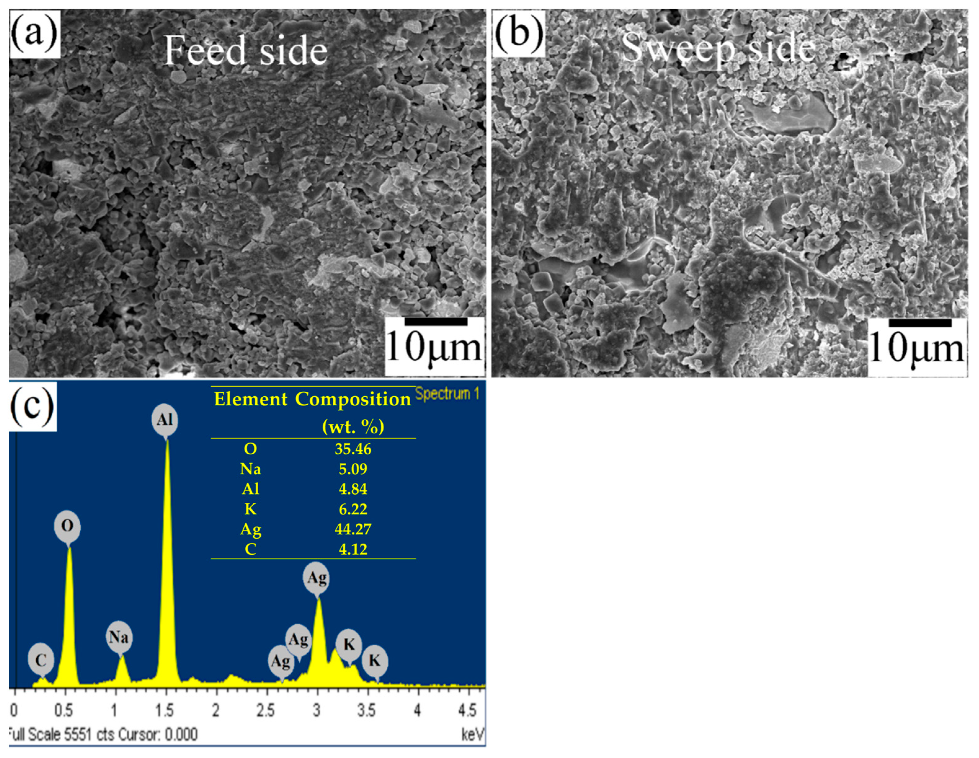 Membranes 14 00238 g009