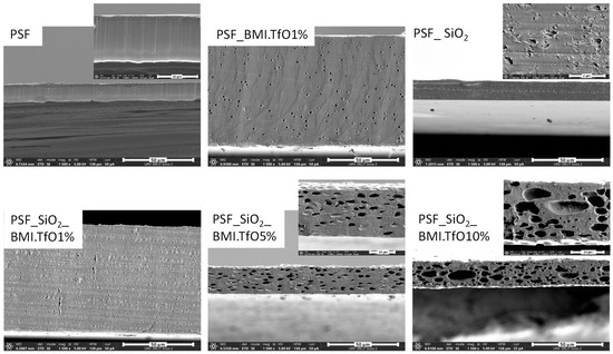 Membranes 14 00270 g005