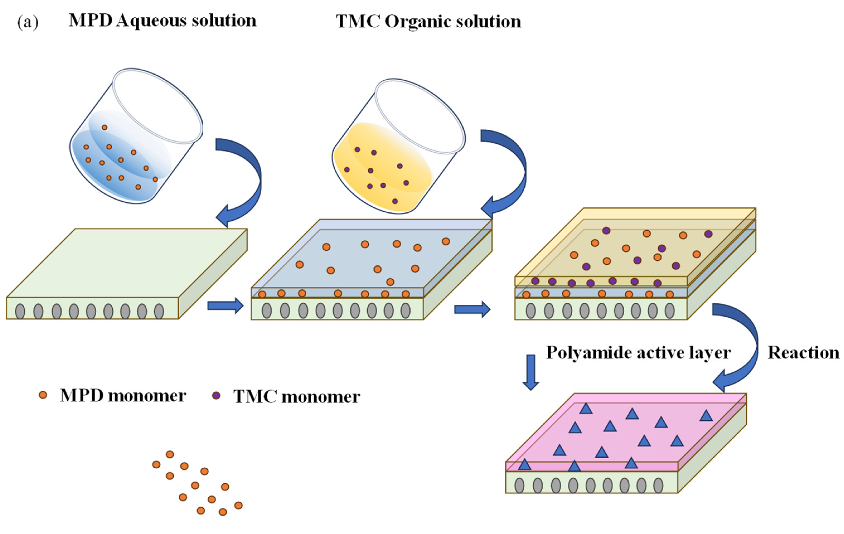Membranes 14 00272 g001a Membranes 14 00272 g001a