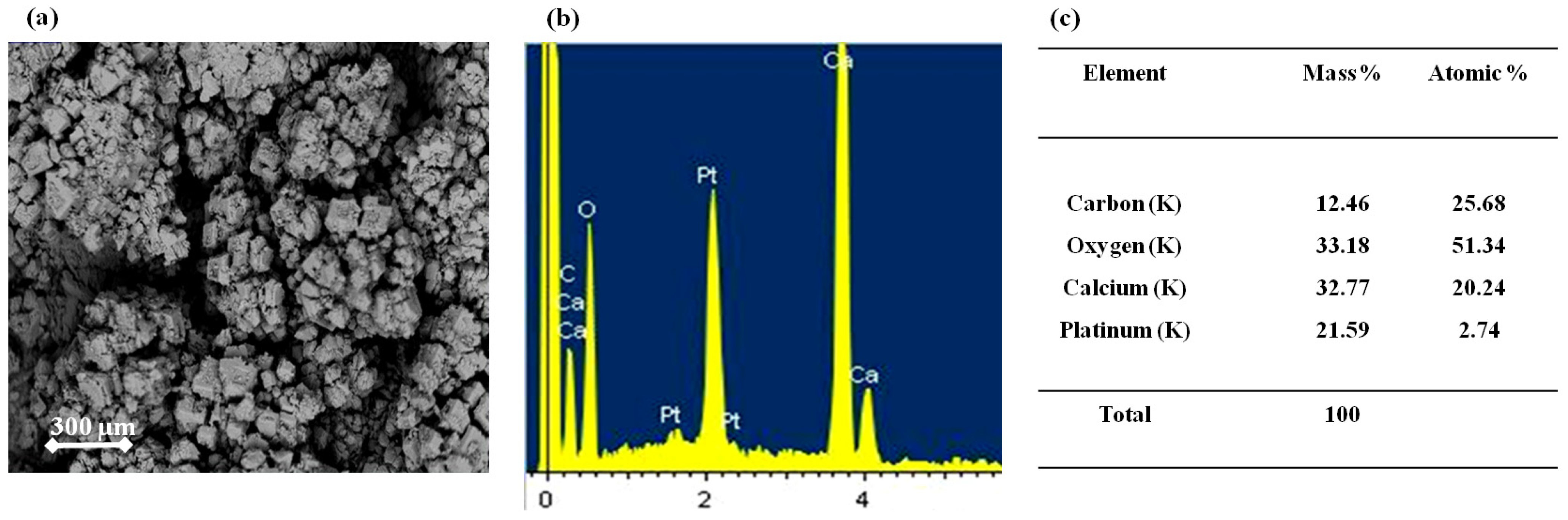 Membranes 15 00005 g004 Membranes 15 00005 g004