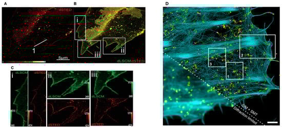 Membranes 15 00006 g005