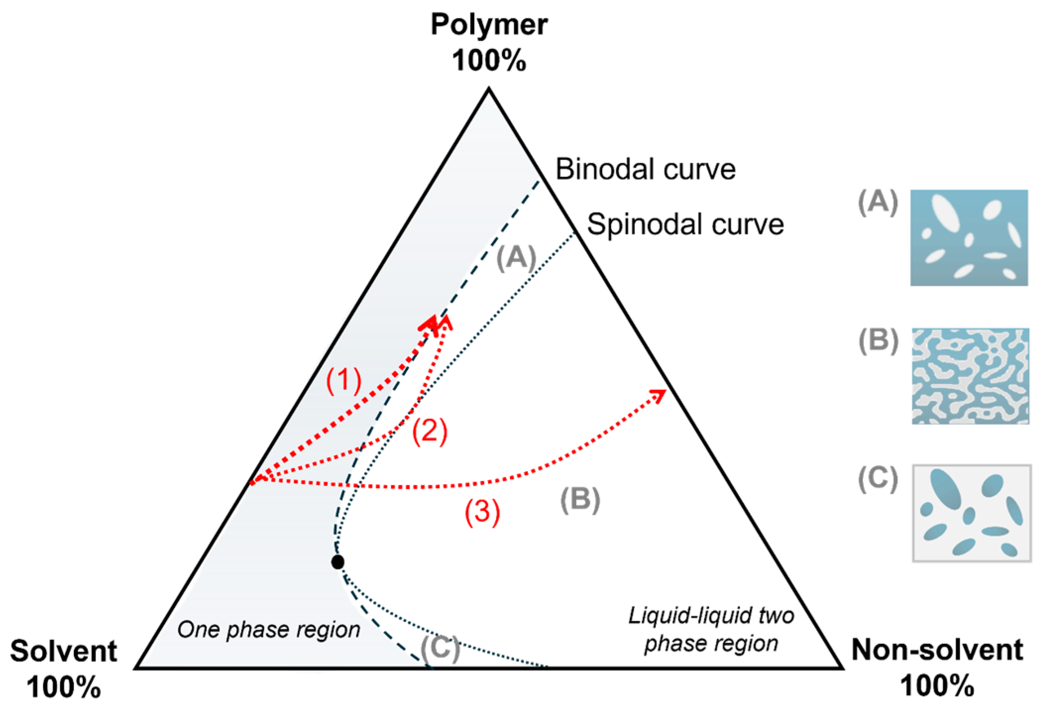 Membranes 15 00007 g001 Membranes 15 00007 g001