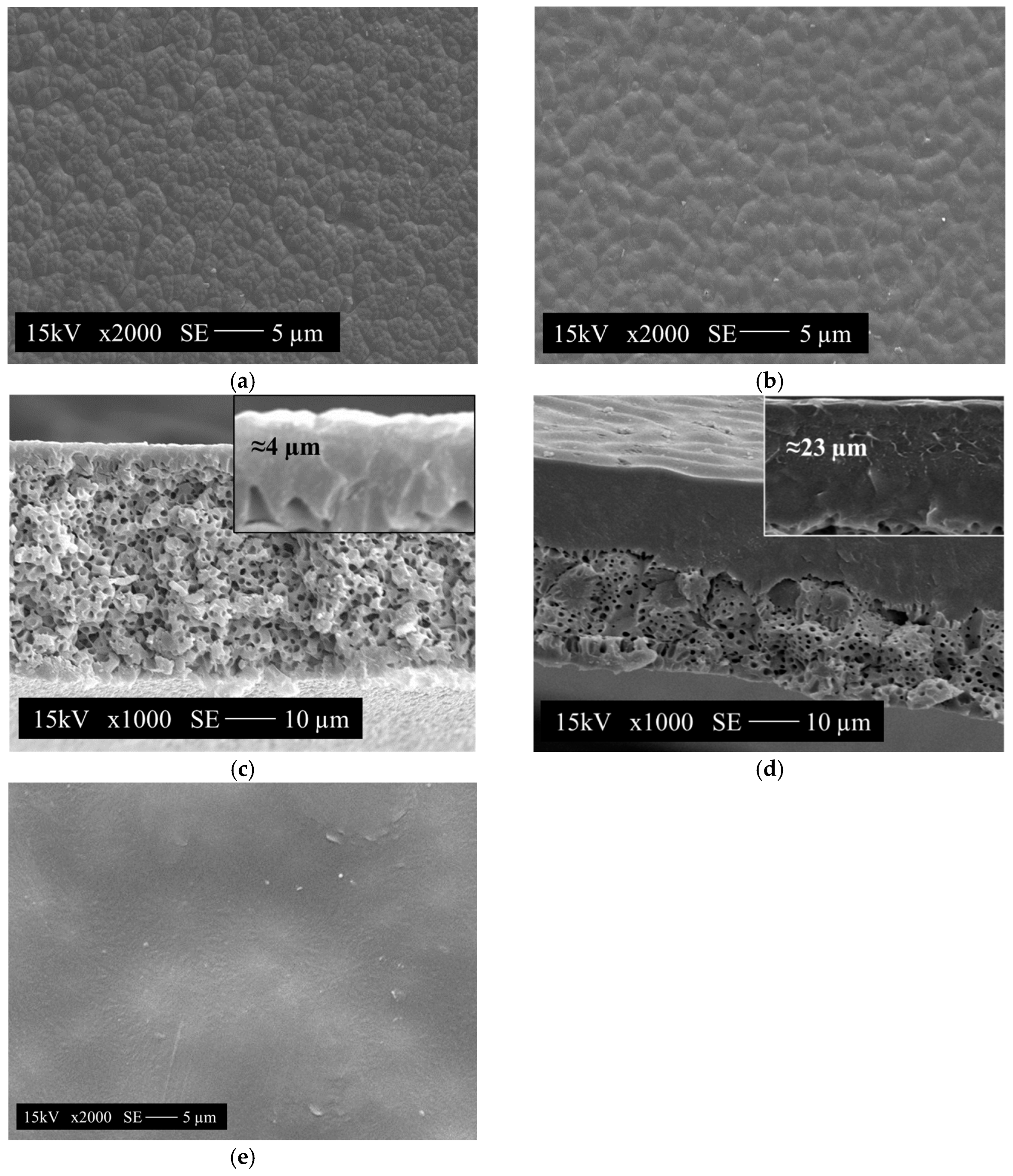 Membranes 15 00007 g005 Membranes 15 00007 g005