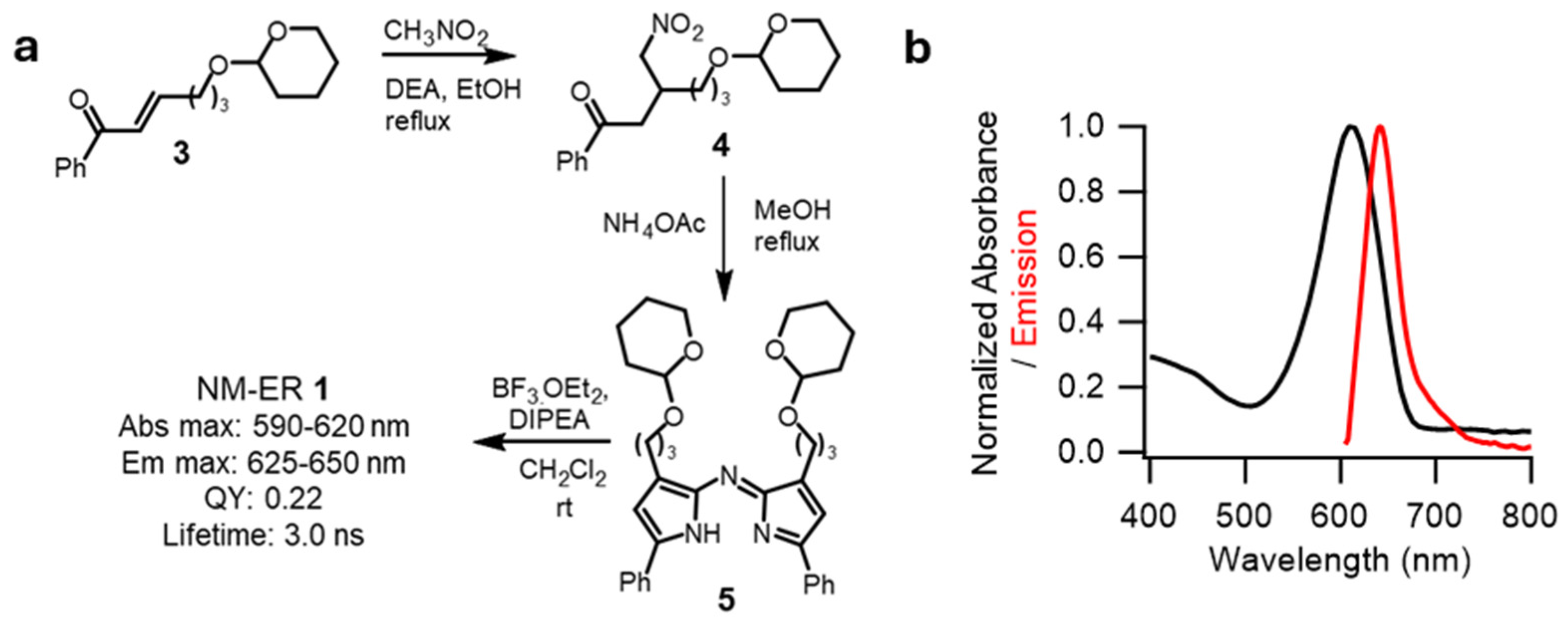 Membranes 15 00009 g002 Membranes 15 00009 g002