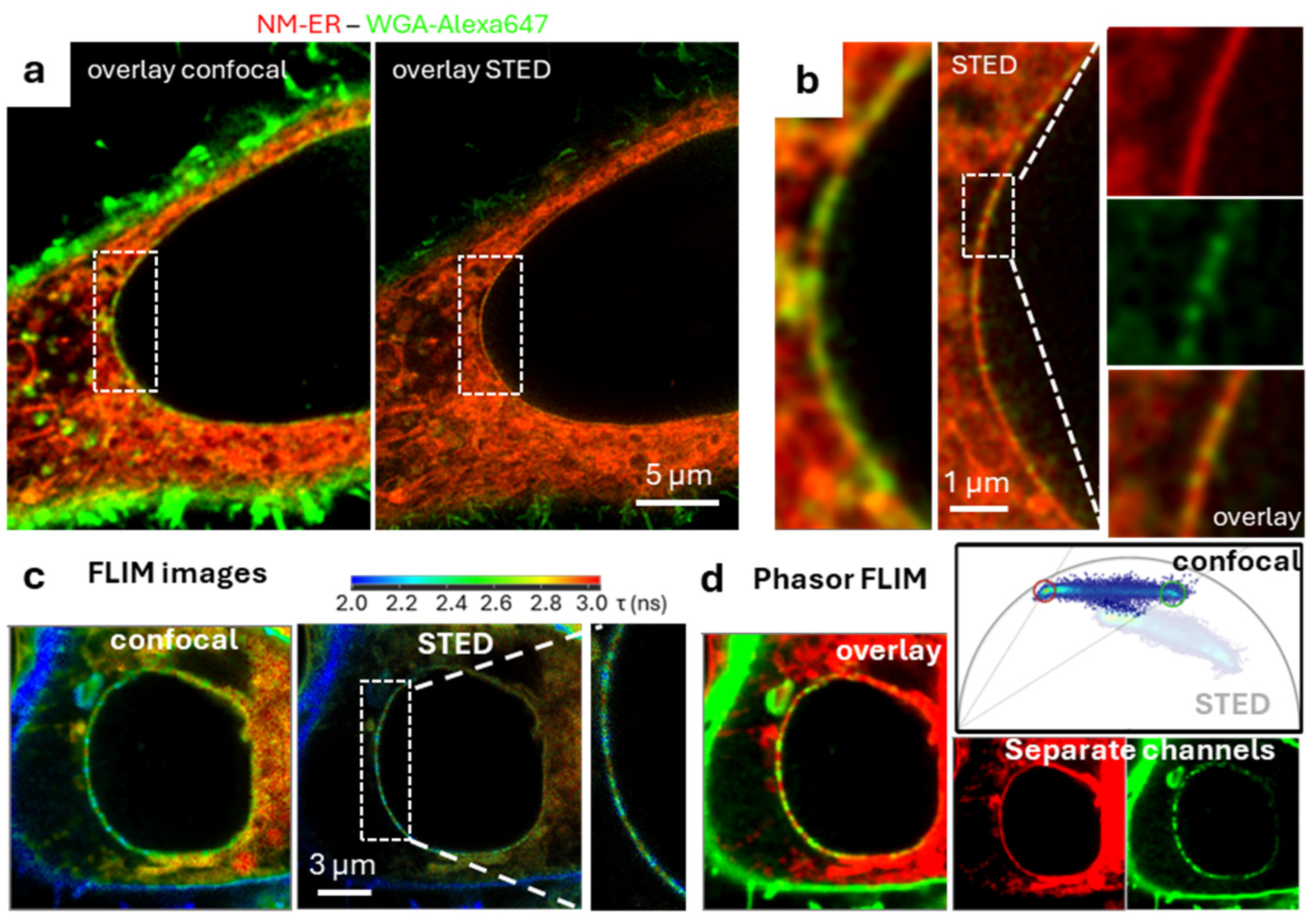 Membranes 15 00009 g007 Membranes 15 00009 g007