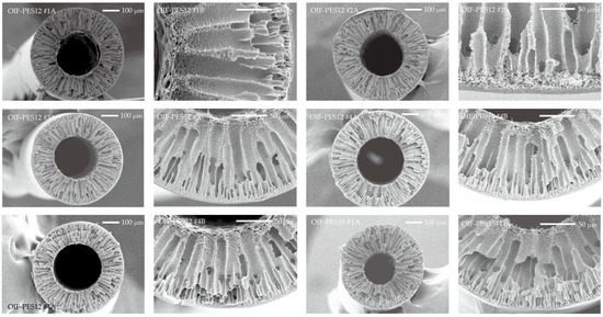 Membranes 15 00016 g0a1a