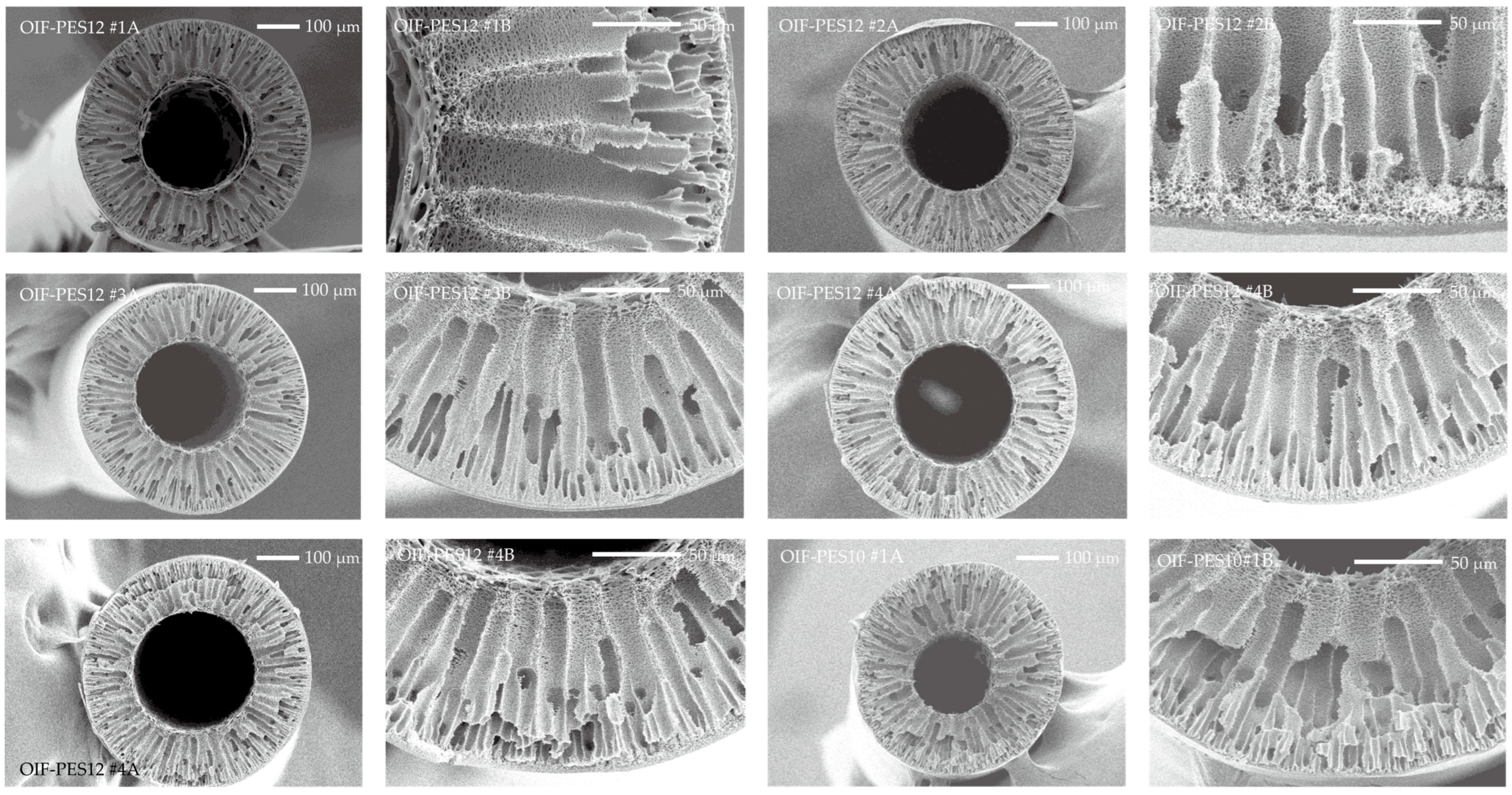 Membranes 15 00016 g0a1a