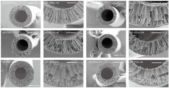 Membranes 15 00016 g0a1b
