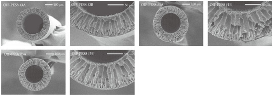 Membranes 15 00016 g0a1c