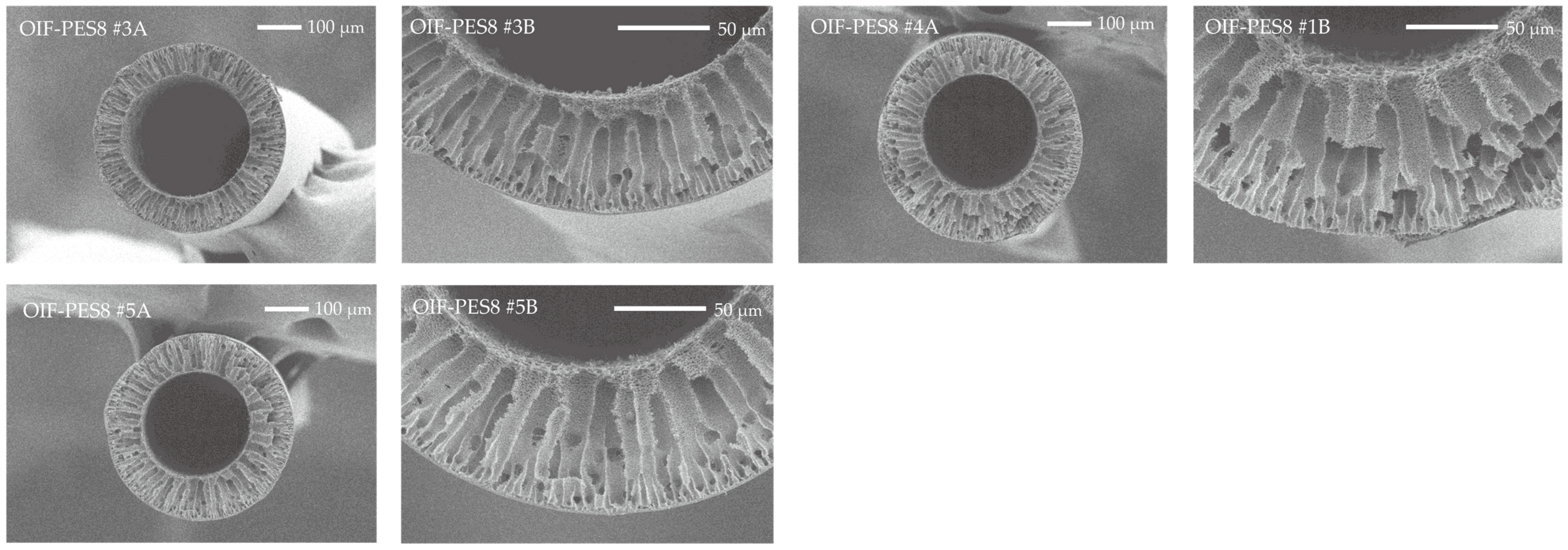 Membranes 15 00016 g0a1c