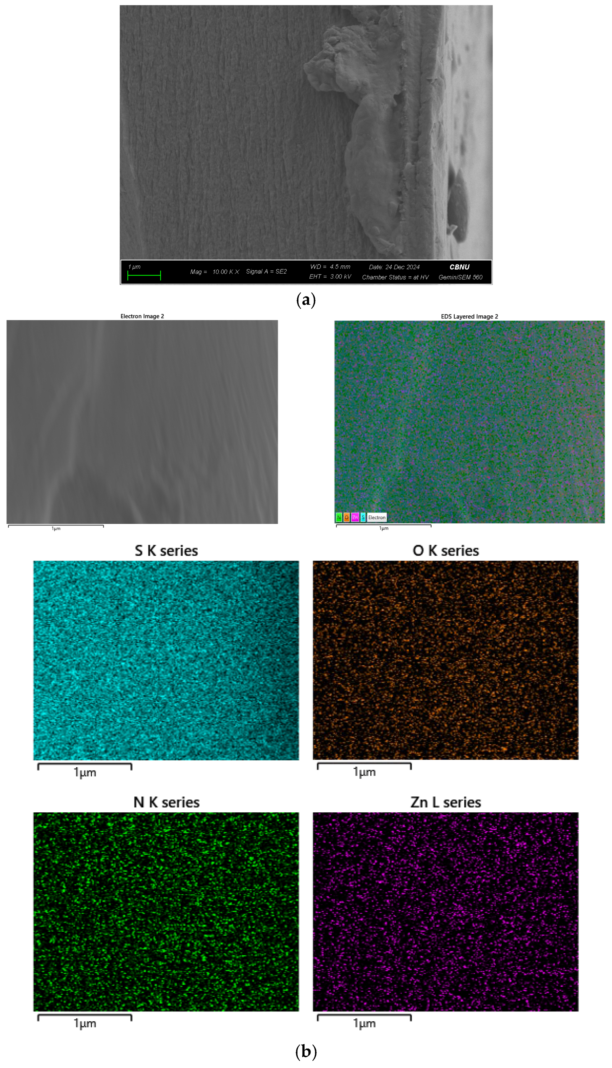 Membranes 15 00019 g006 Membranes 15 00019 g006