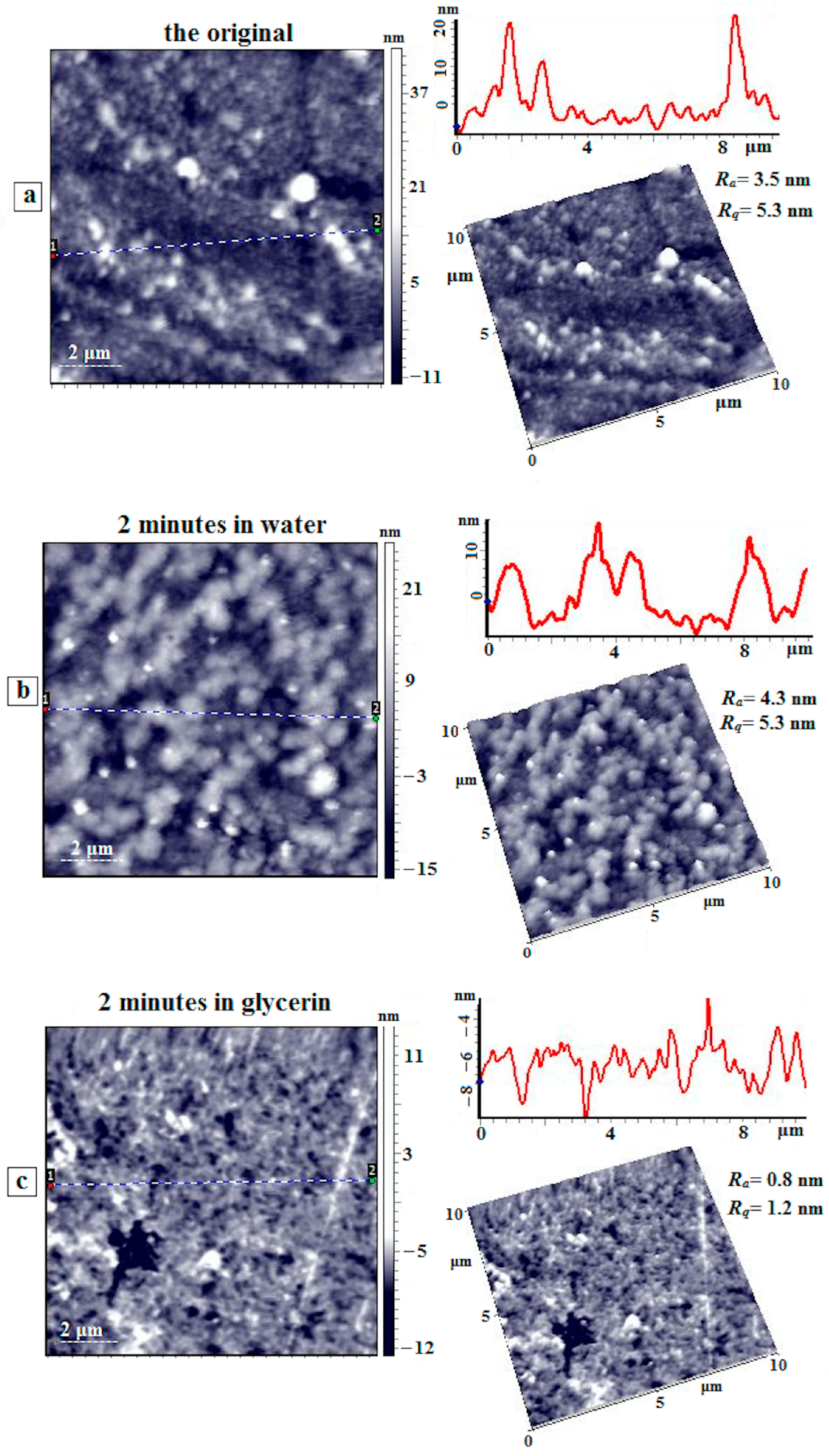 Membranes 15 00023 g012