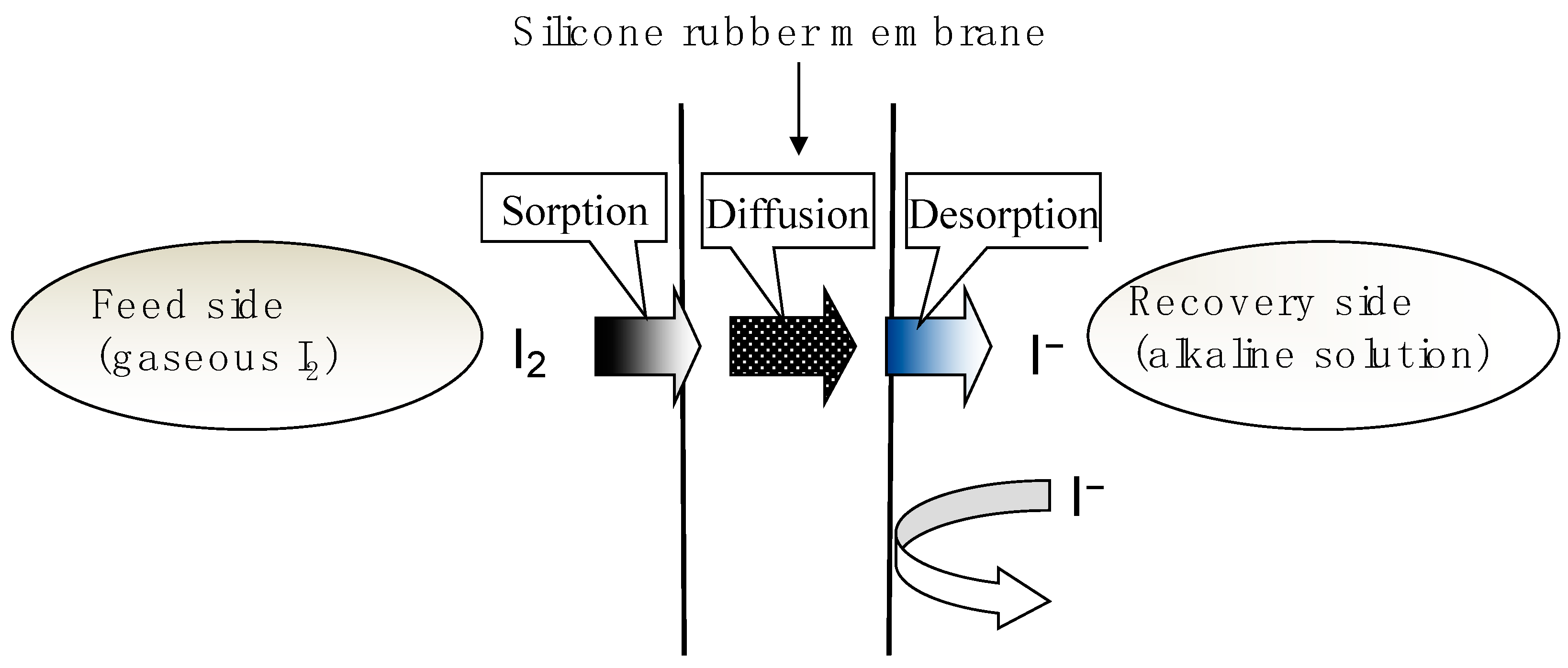 Membranes 15 00027 g002