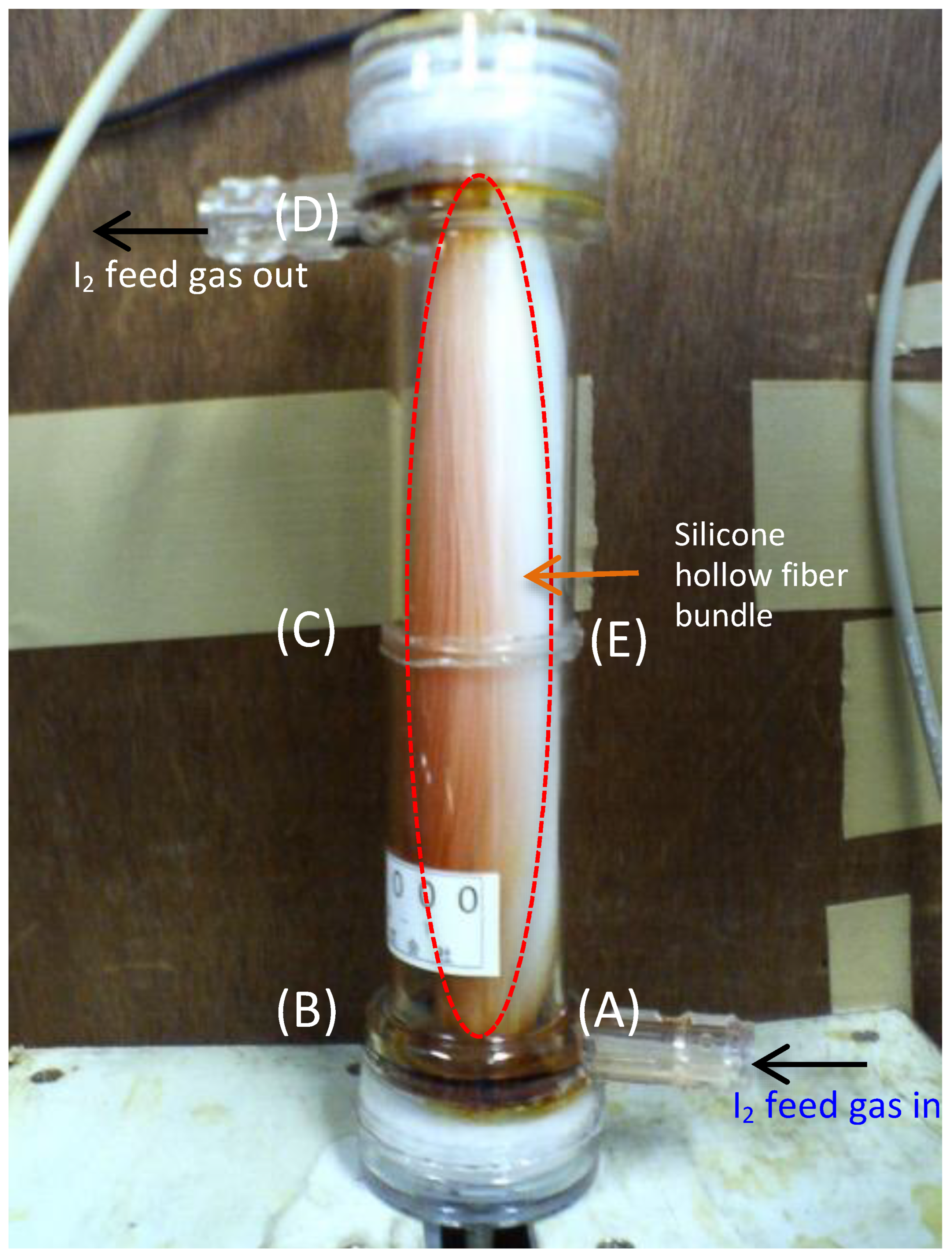 Membranes 15 00027 g008