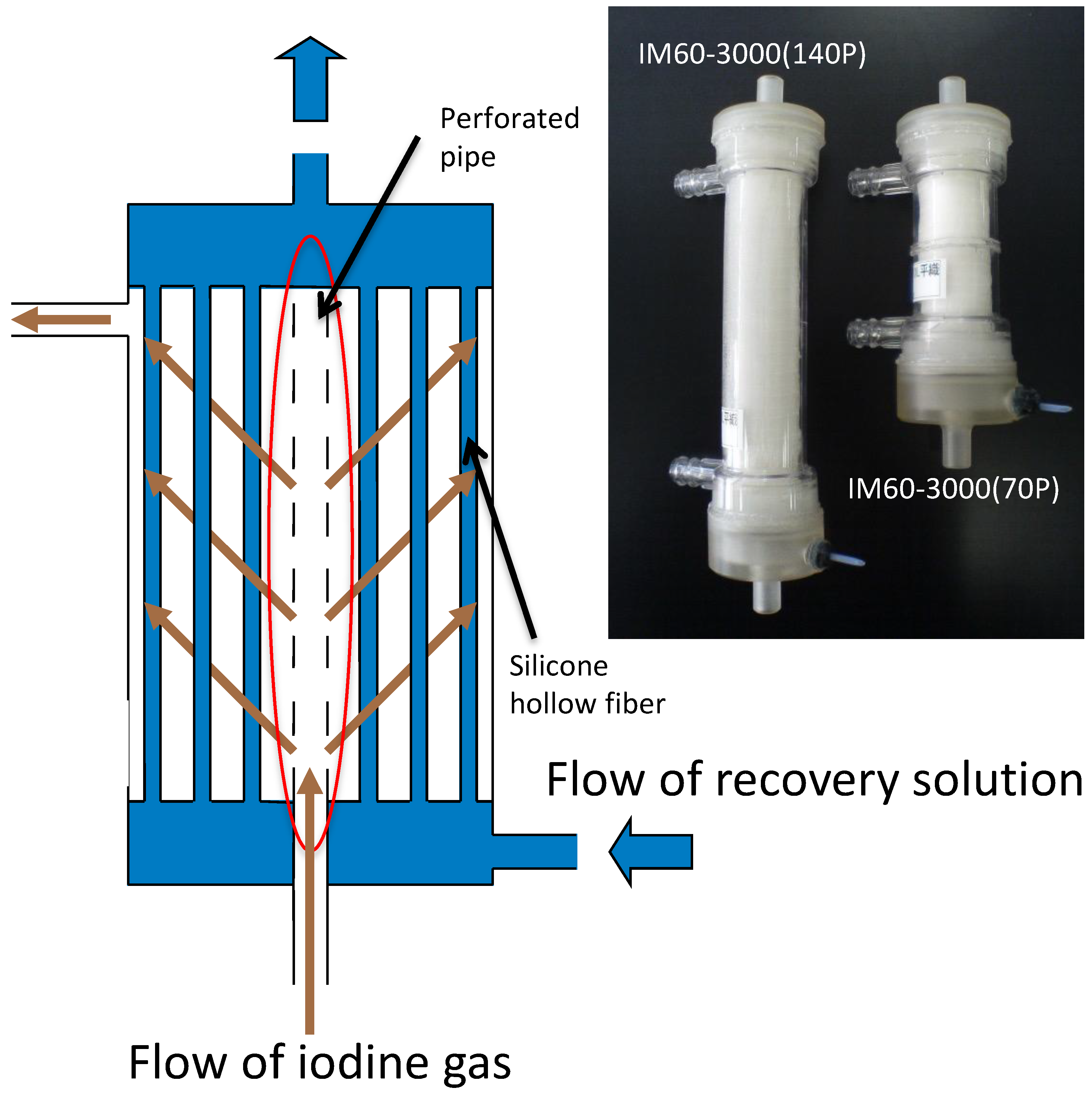 Membranes 15 00027 g009