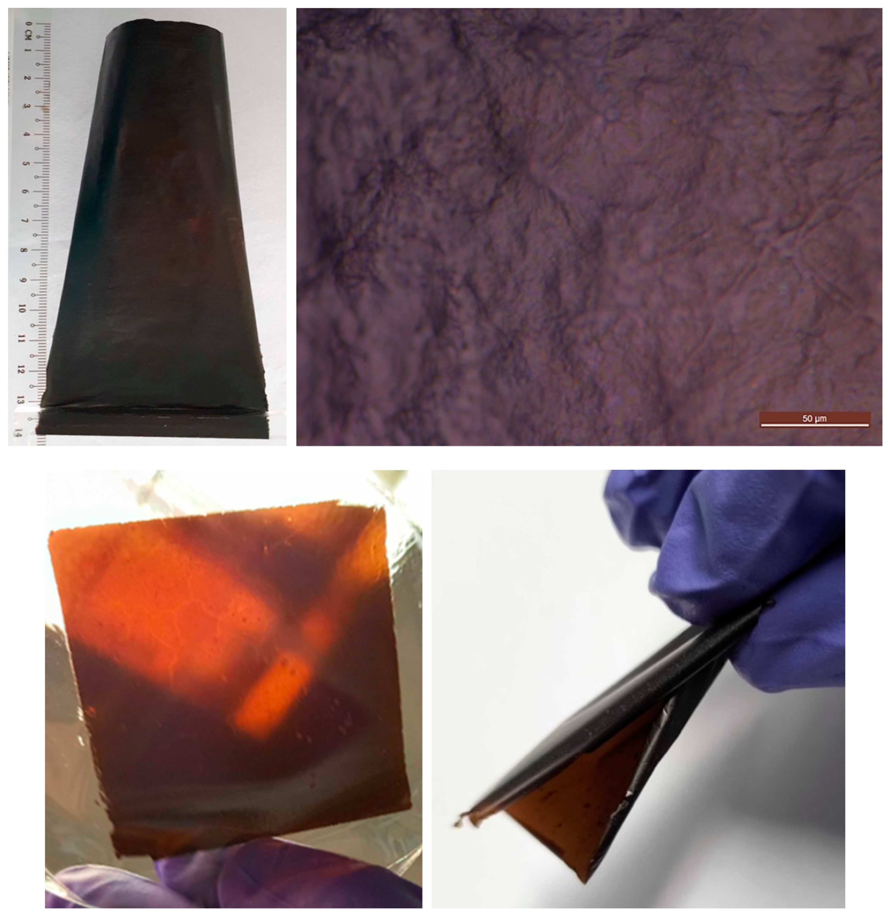 Membranes 15 00031 g002