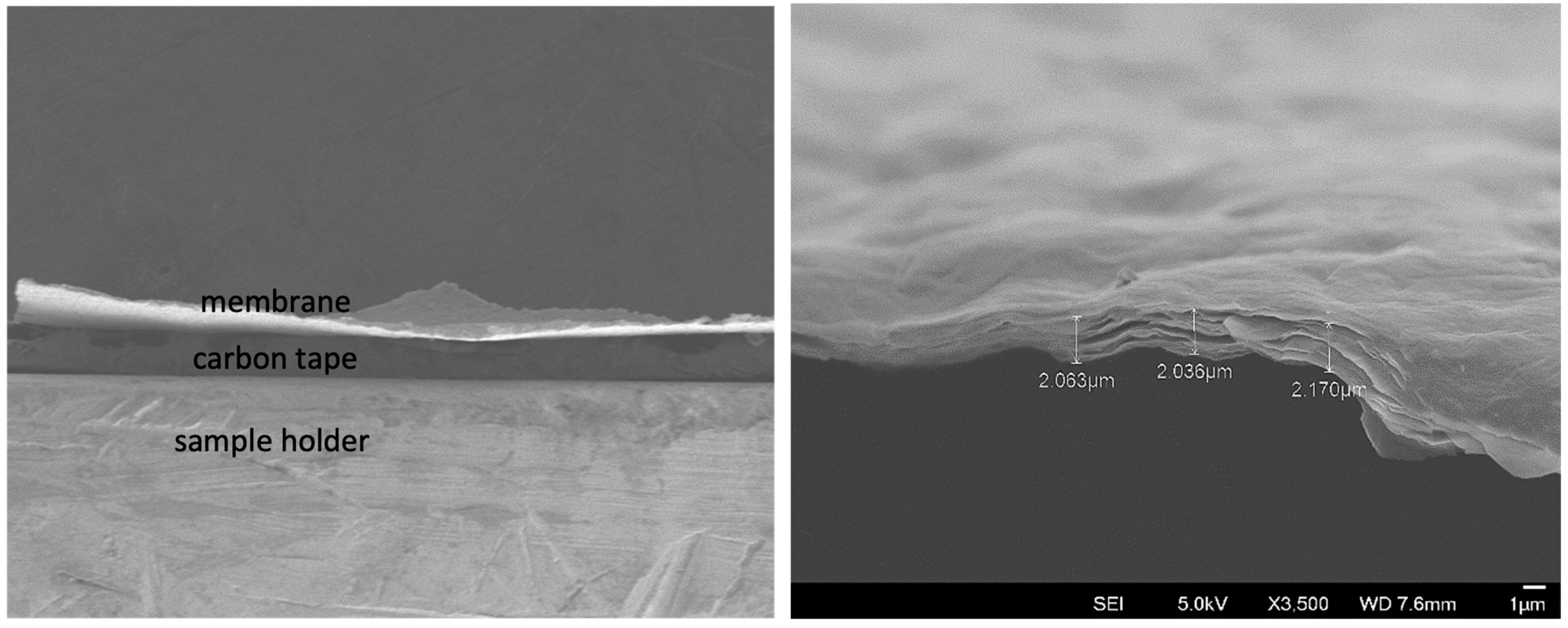 Membranes 15 00031 g003