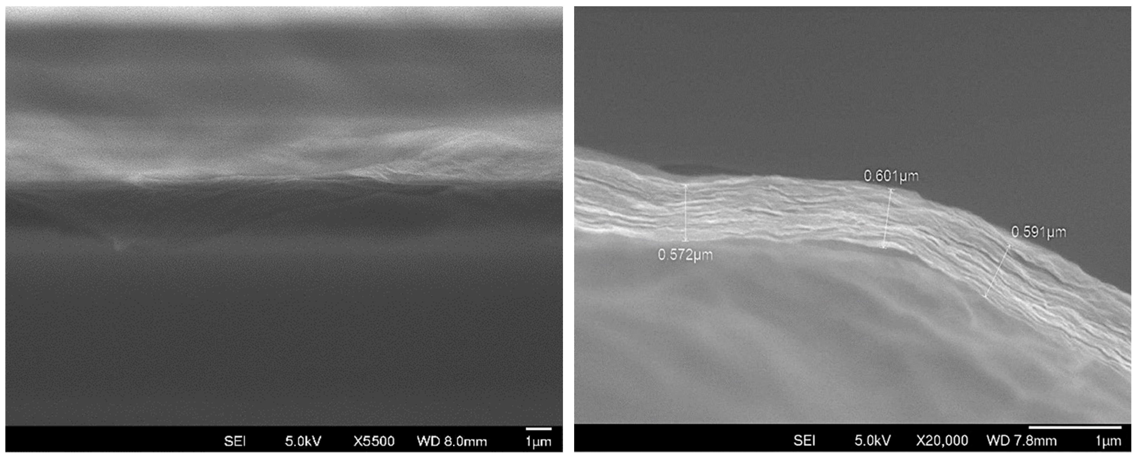 Membranes 15 00031 g004