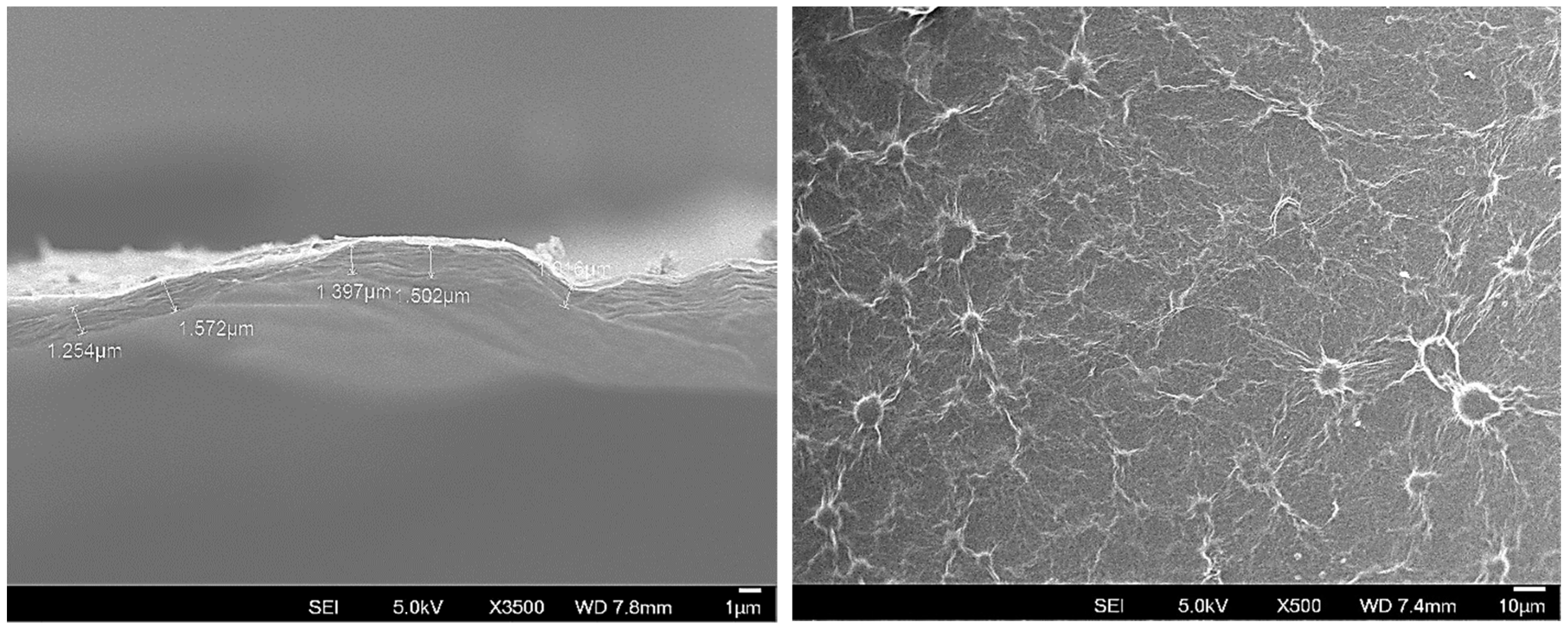 Membranes 15 00031 g005