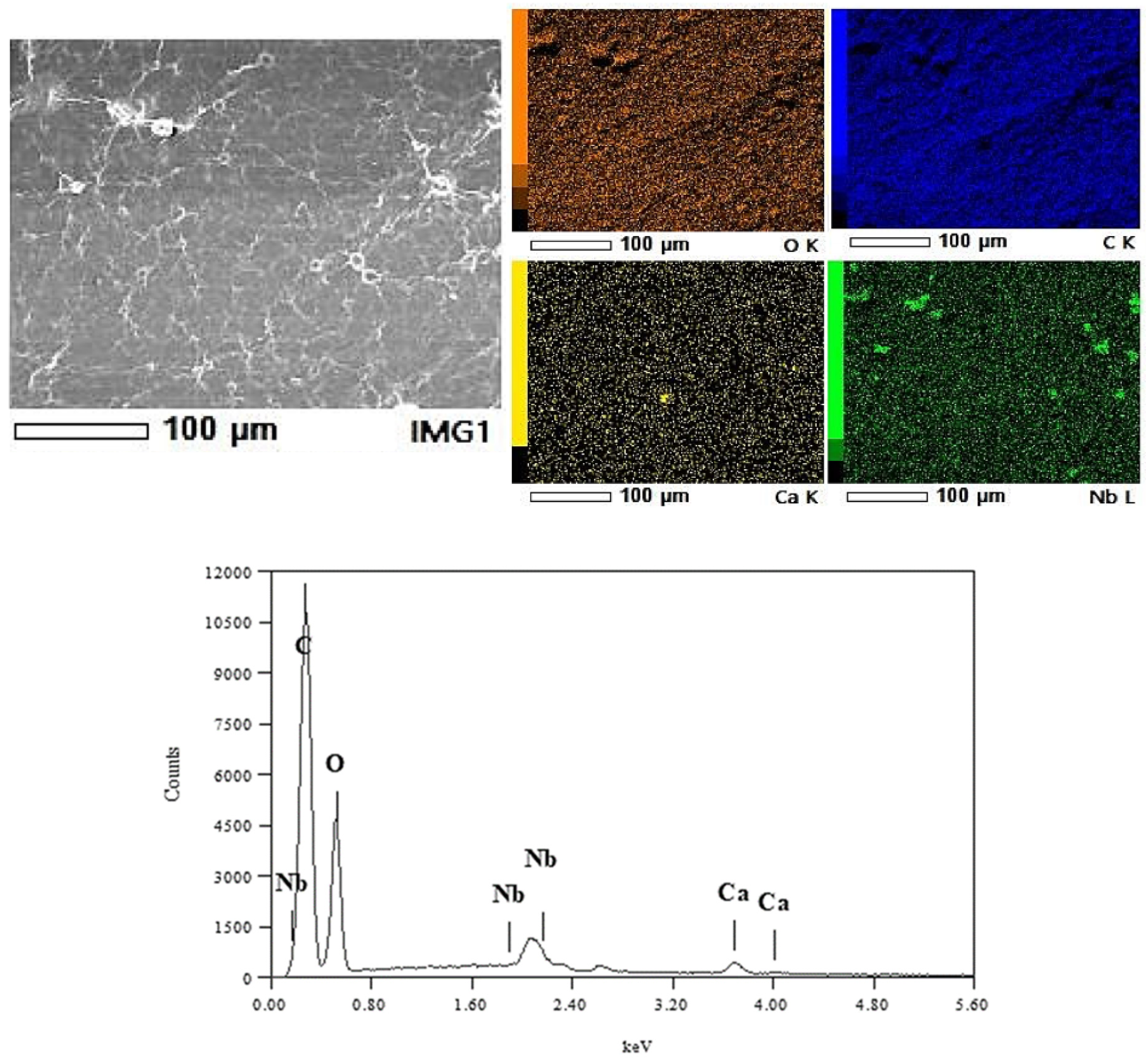 Membranes 15 00031 g006