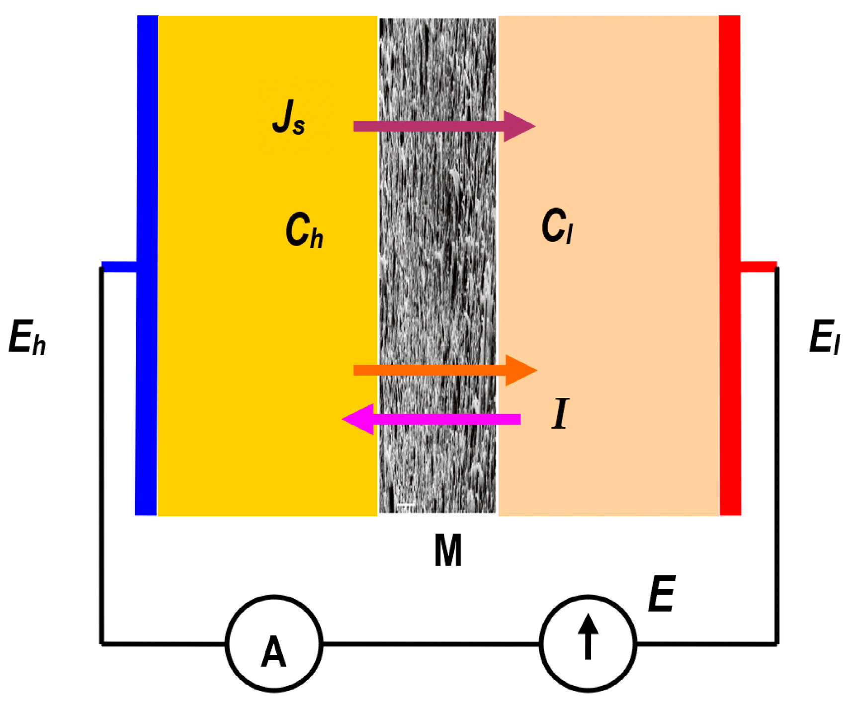 Membranes 15 00036 g002