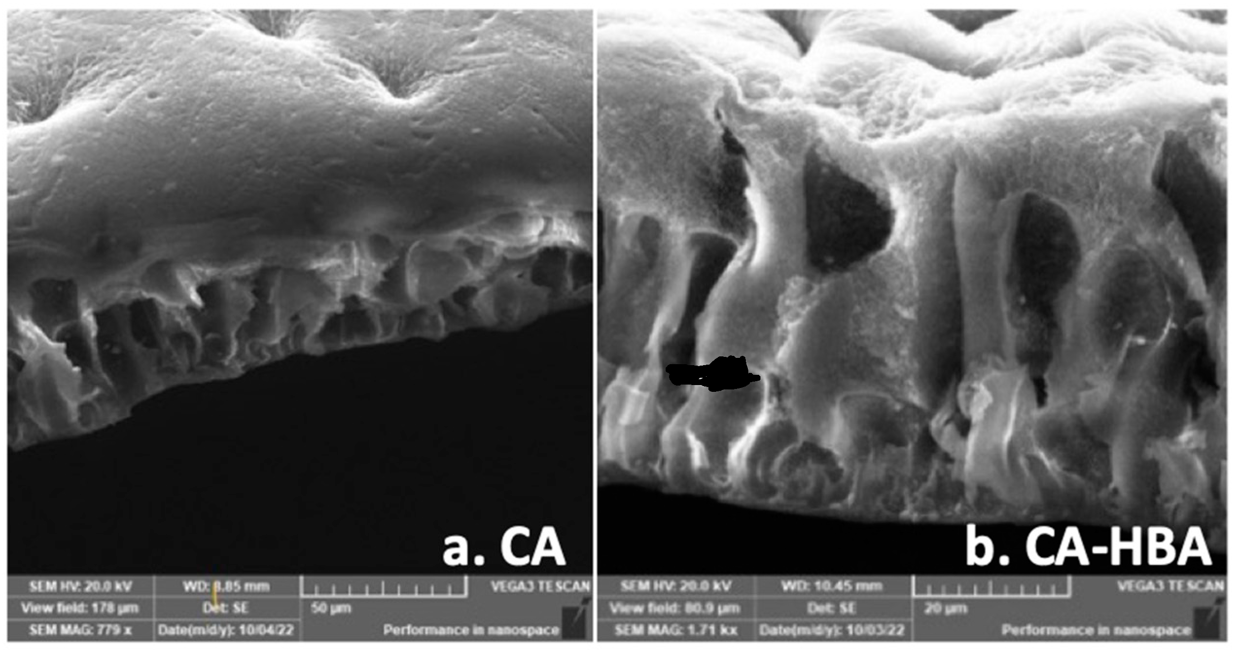 Membranes 15 00038 g008