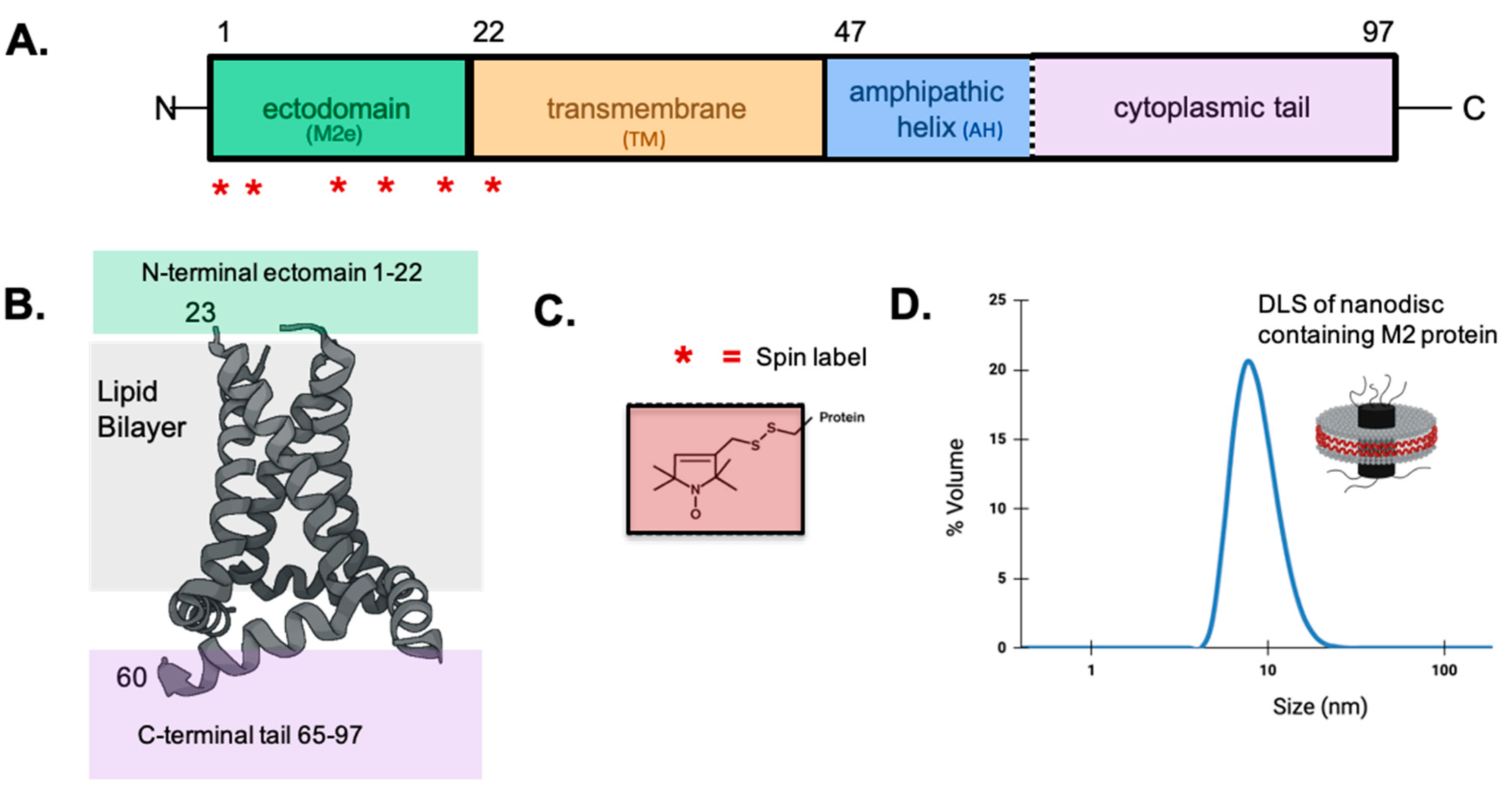 Membranes 15 00040 g001
