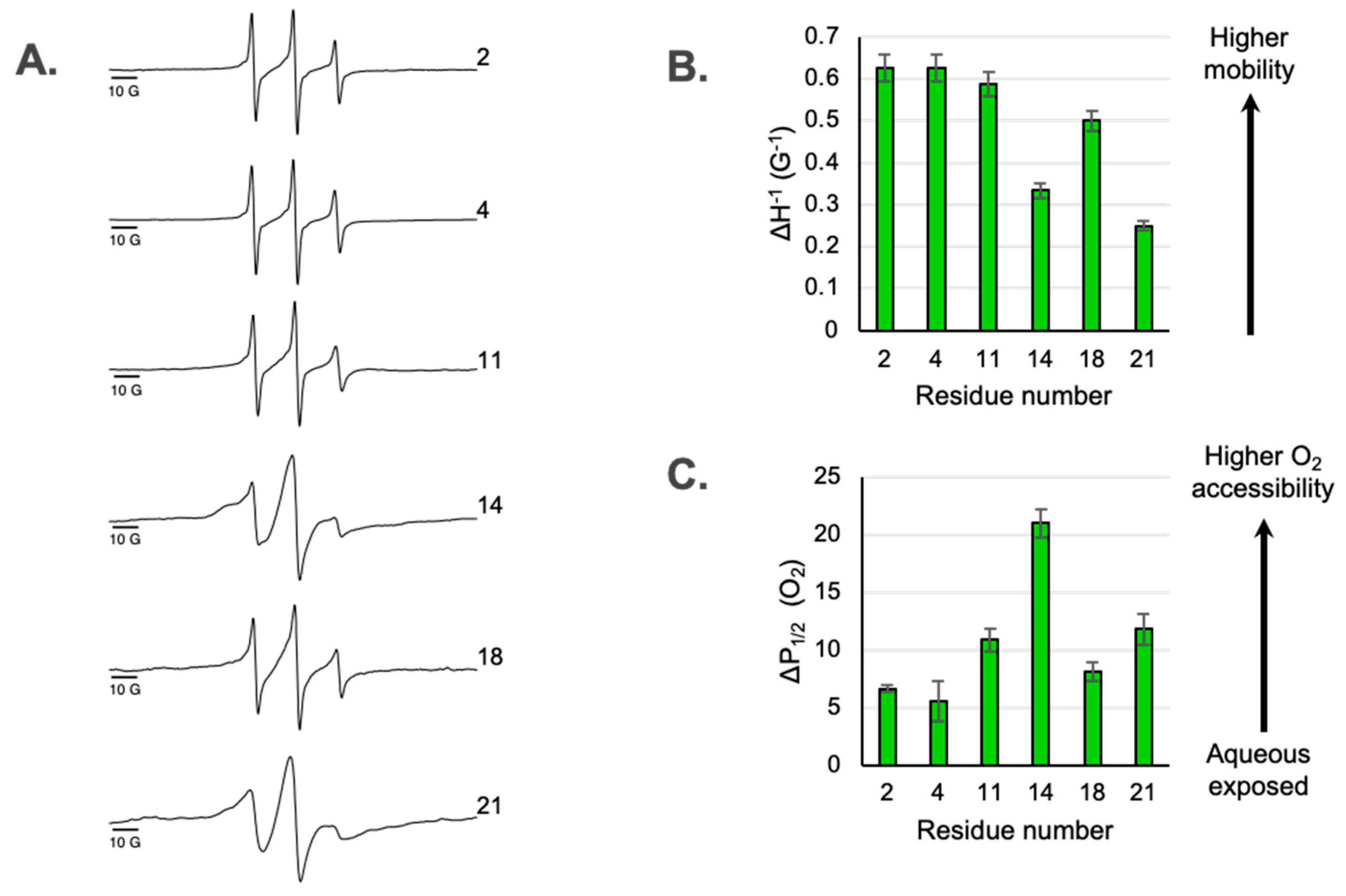 Membranes 15 00040 g002