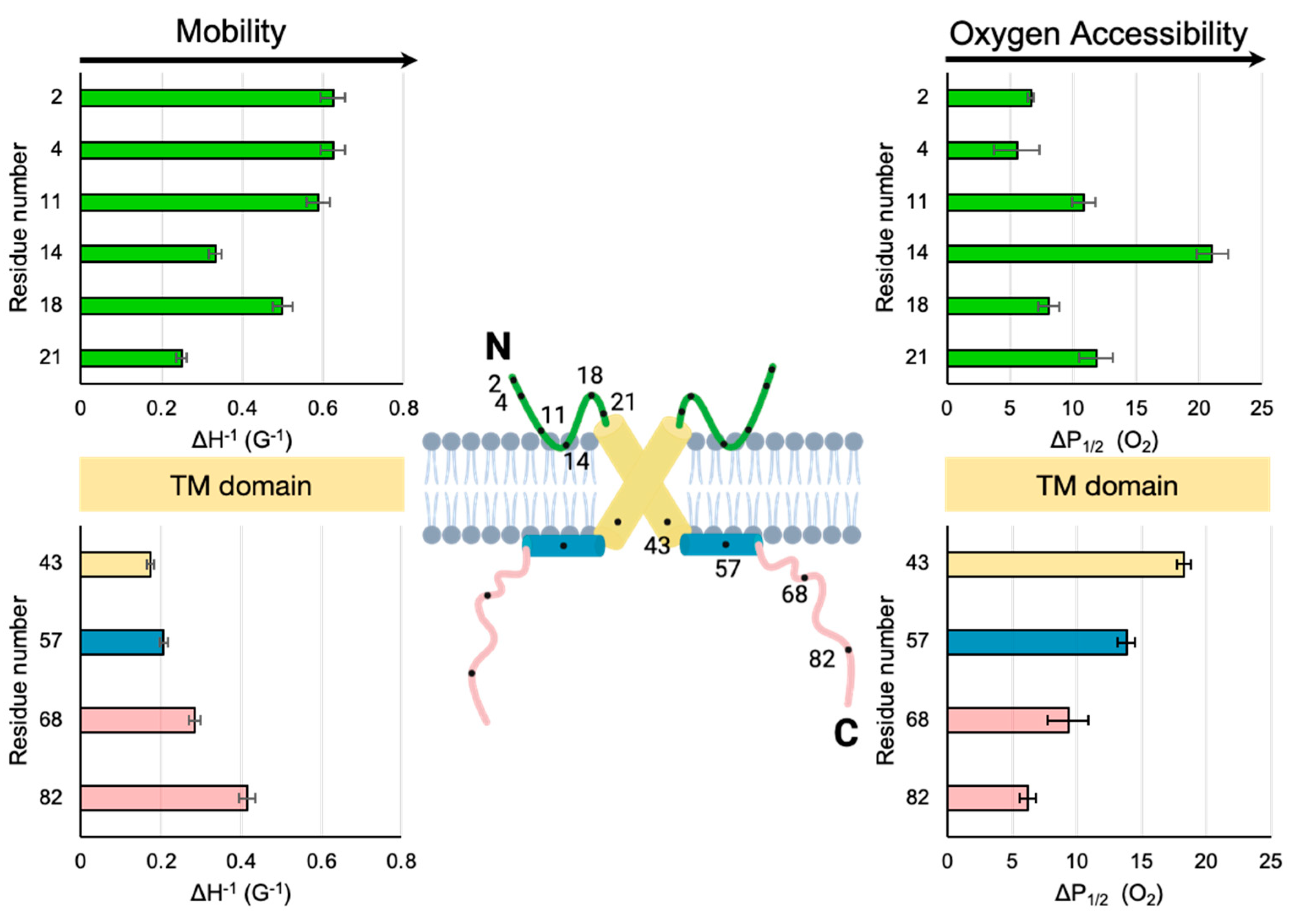 Membranes 15 00040 g004