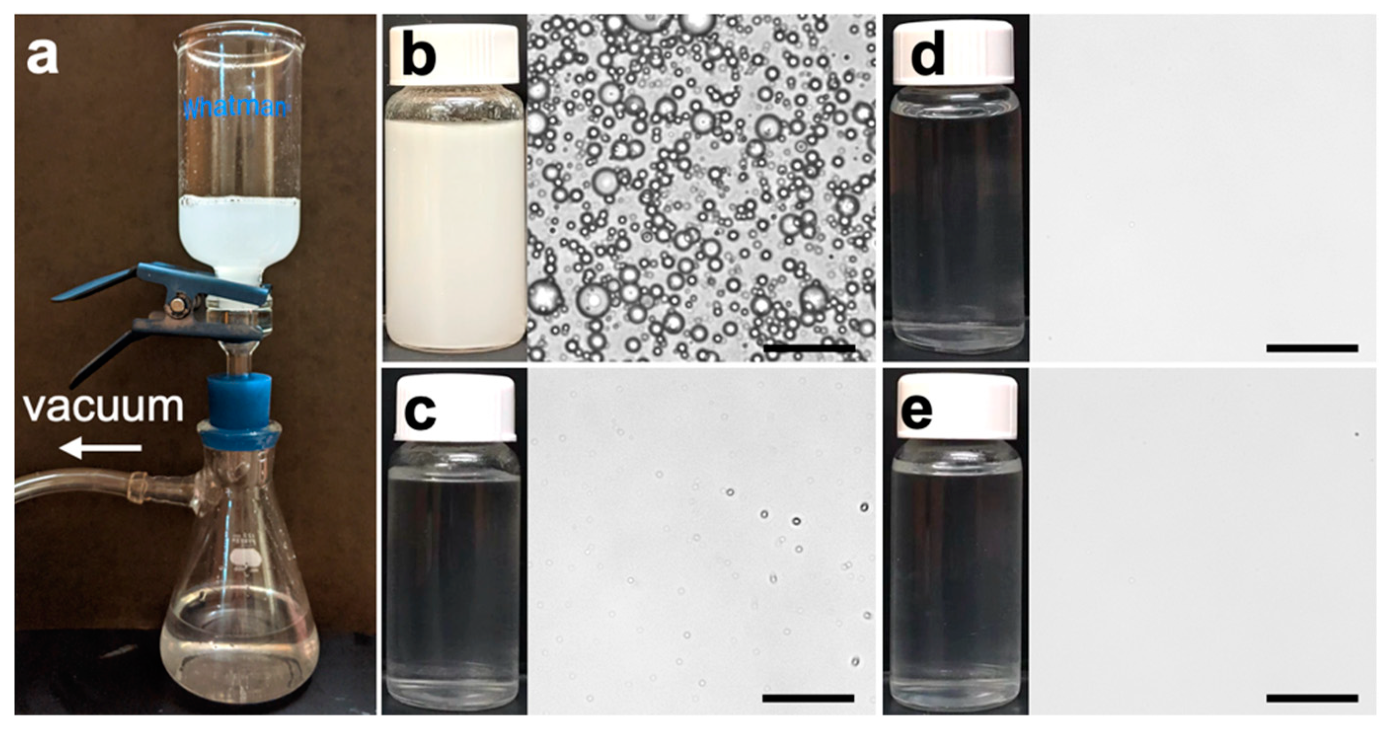 Membranes 15 00041 g005 Membranes 15 00041 g005