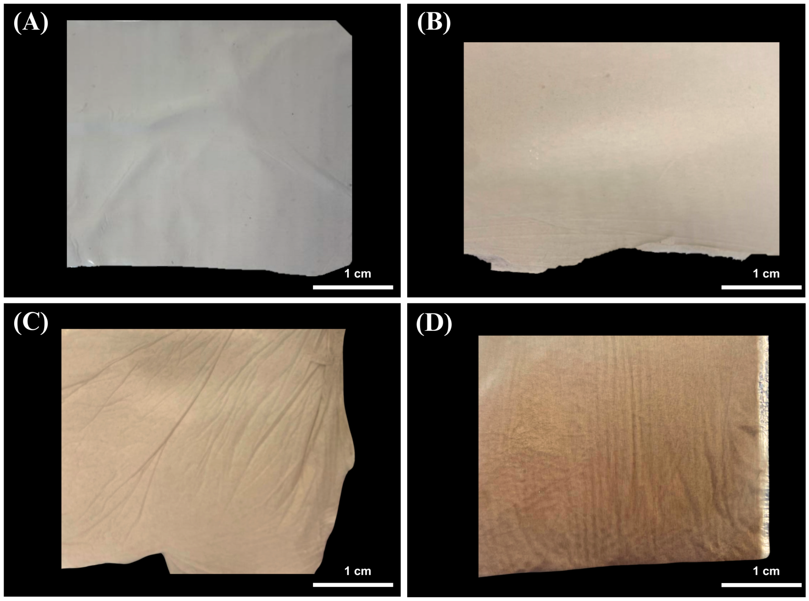 Membranes 15 00044 g001