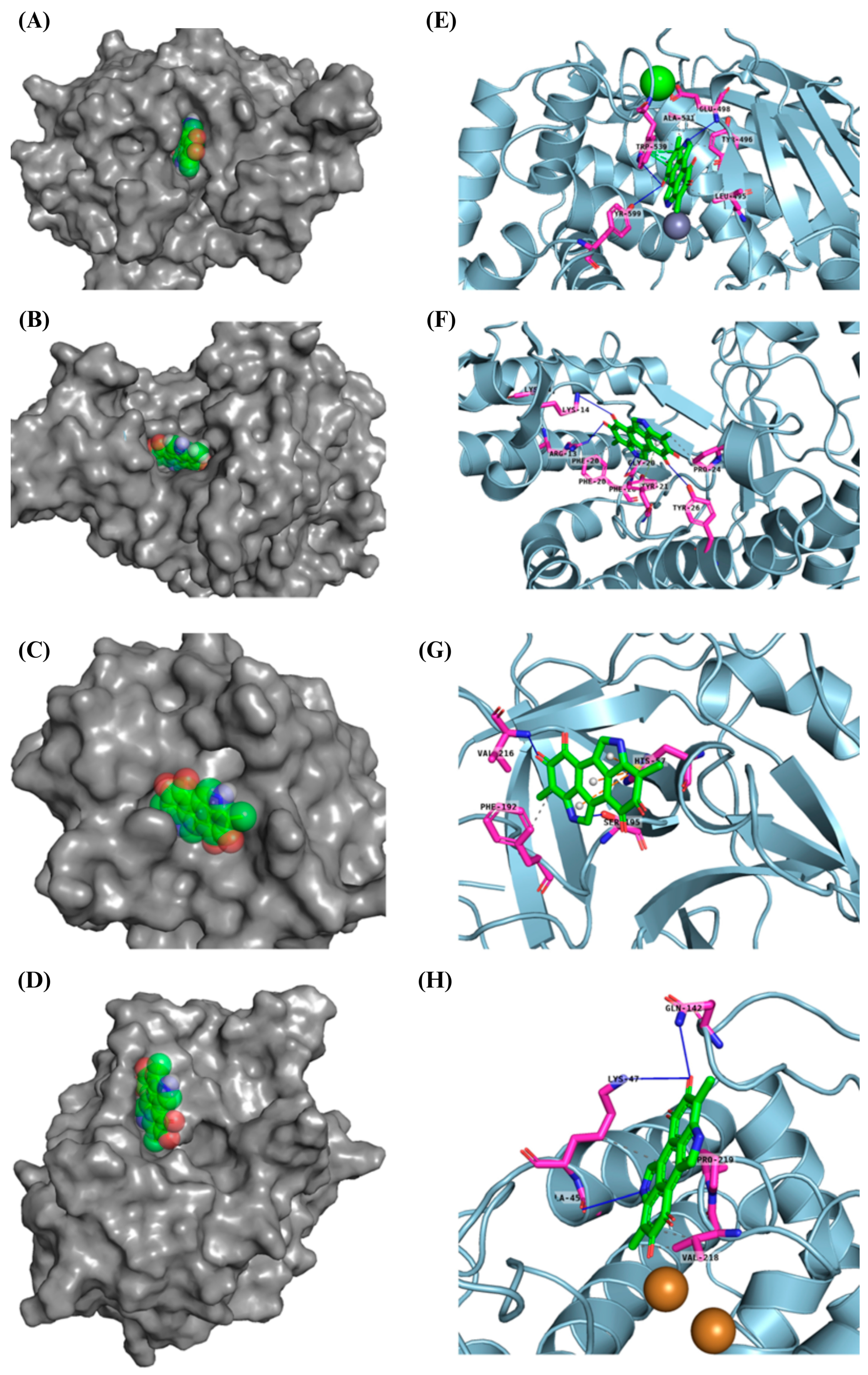 Membranes 15 00044 g011