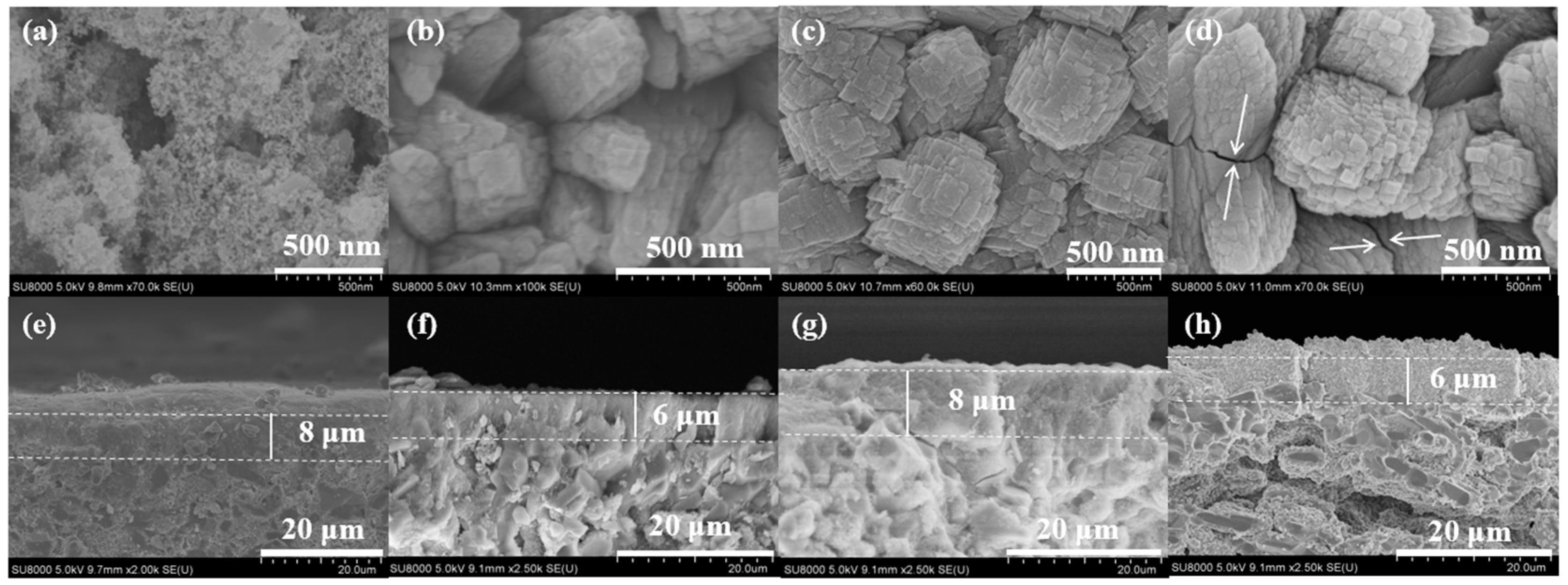 Membranes 15 00054 g004 Membranes 15 00054 g004