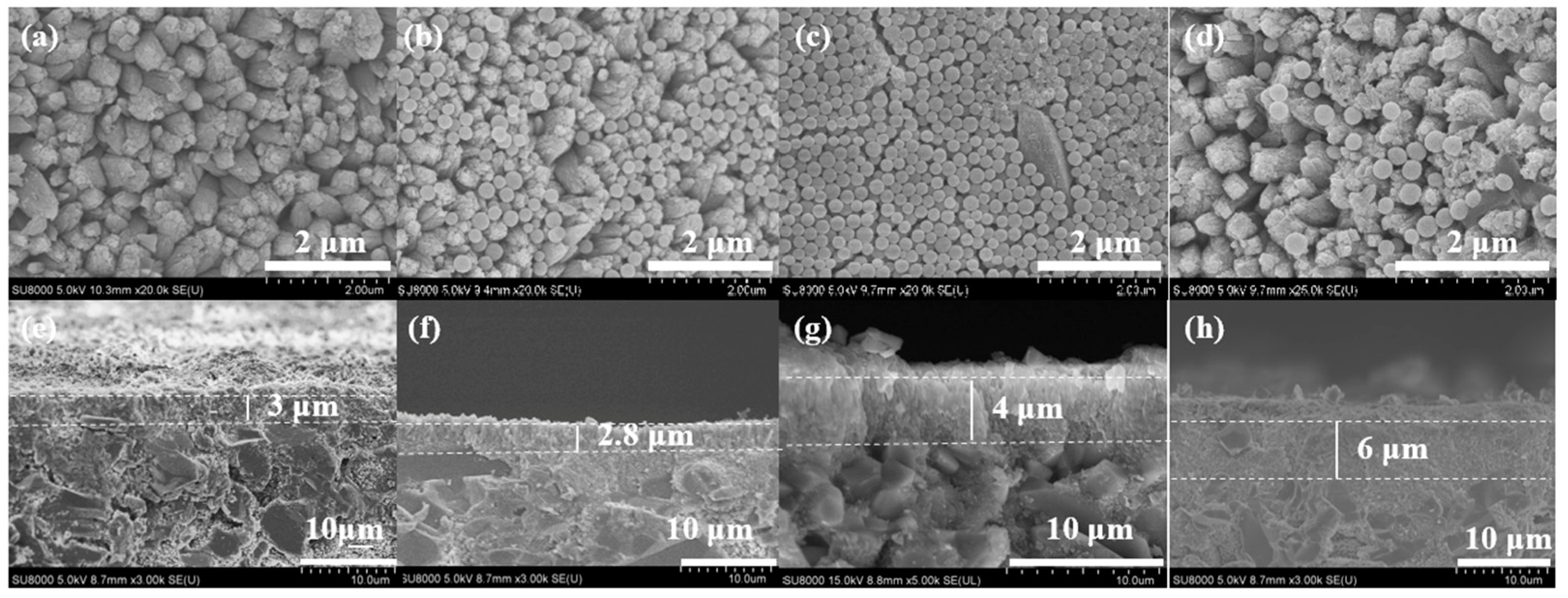 Membranes 15 00054 g010 Membranes 15 00054 g010
