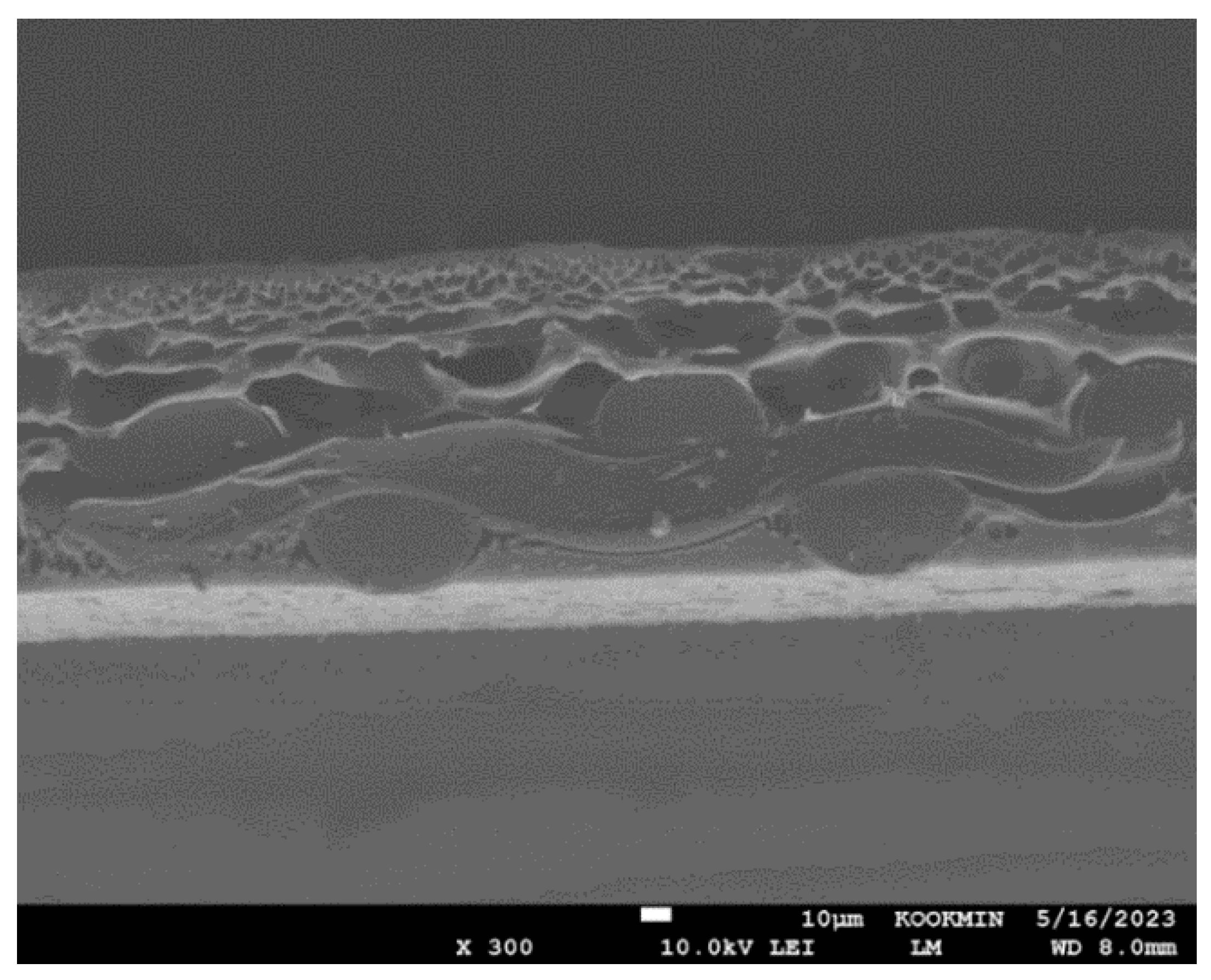 Membranes 15 00056 g003