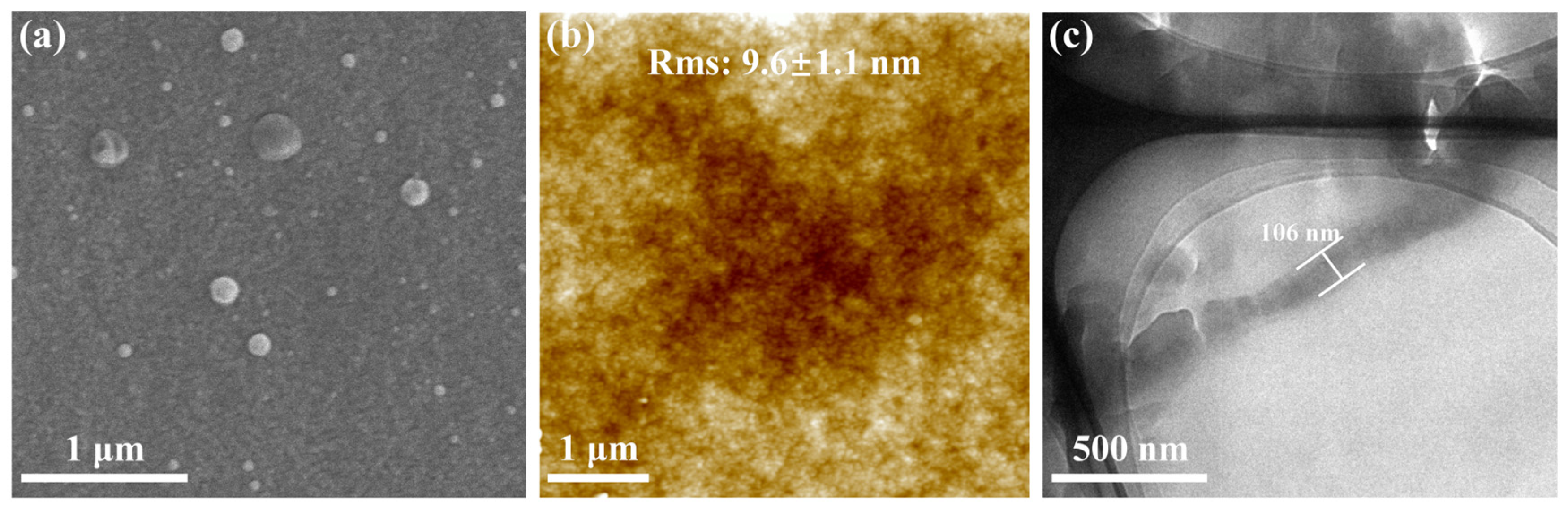 Membranes 15 00059 g004