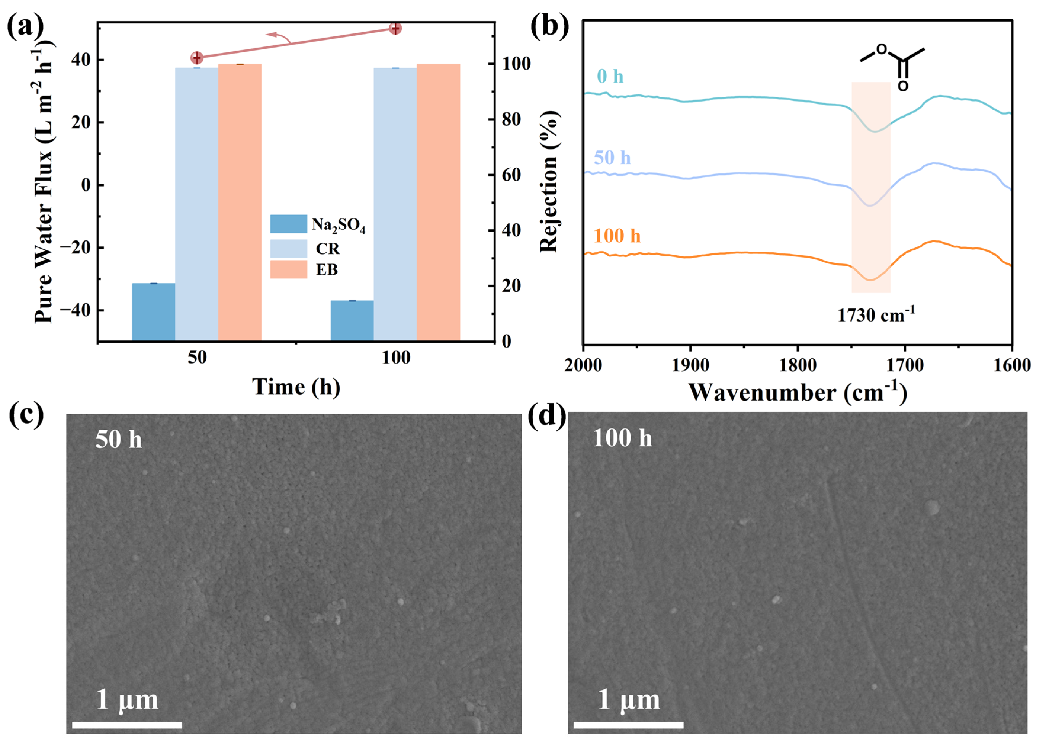 Membranes 15 00059 g008