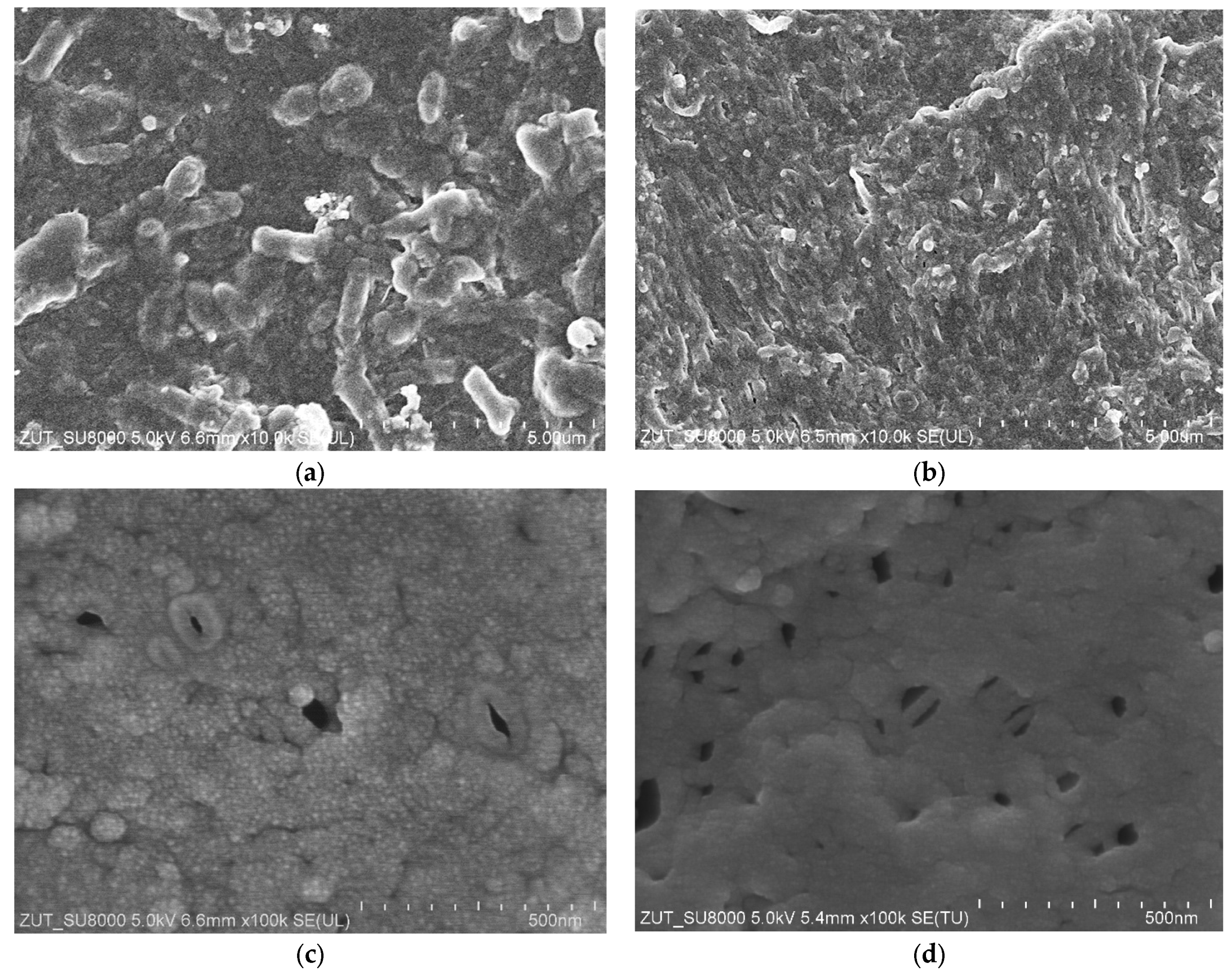 Membranes 15 00066 g008