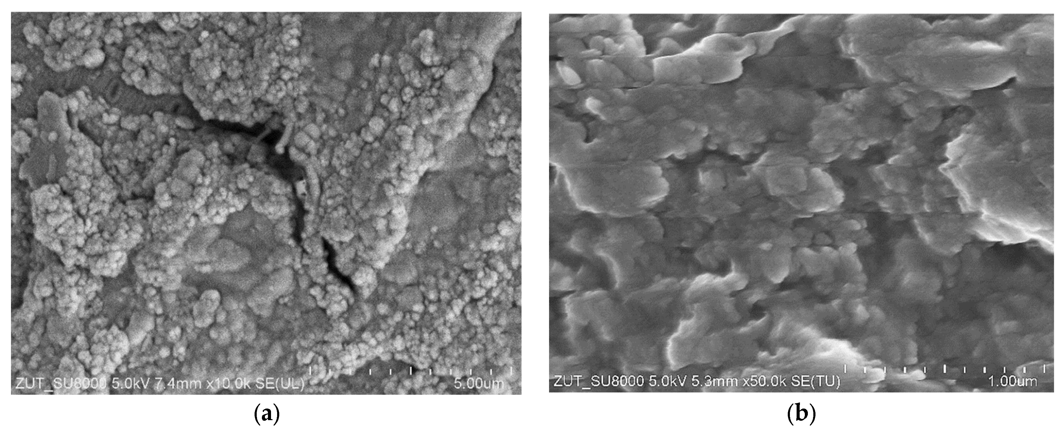 Membranes 15 00066 g009