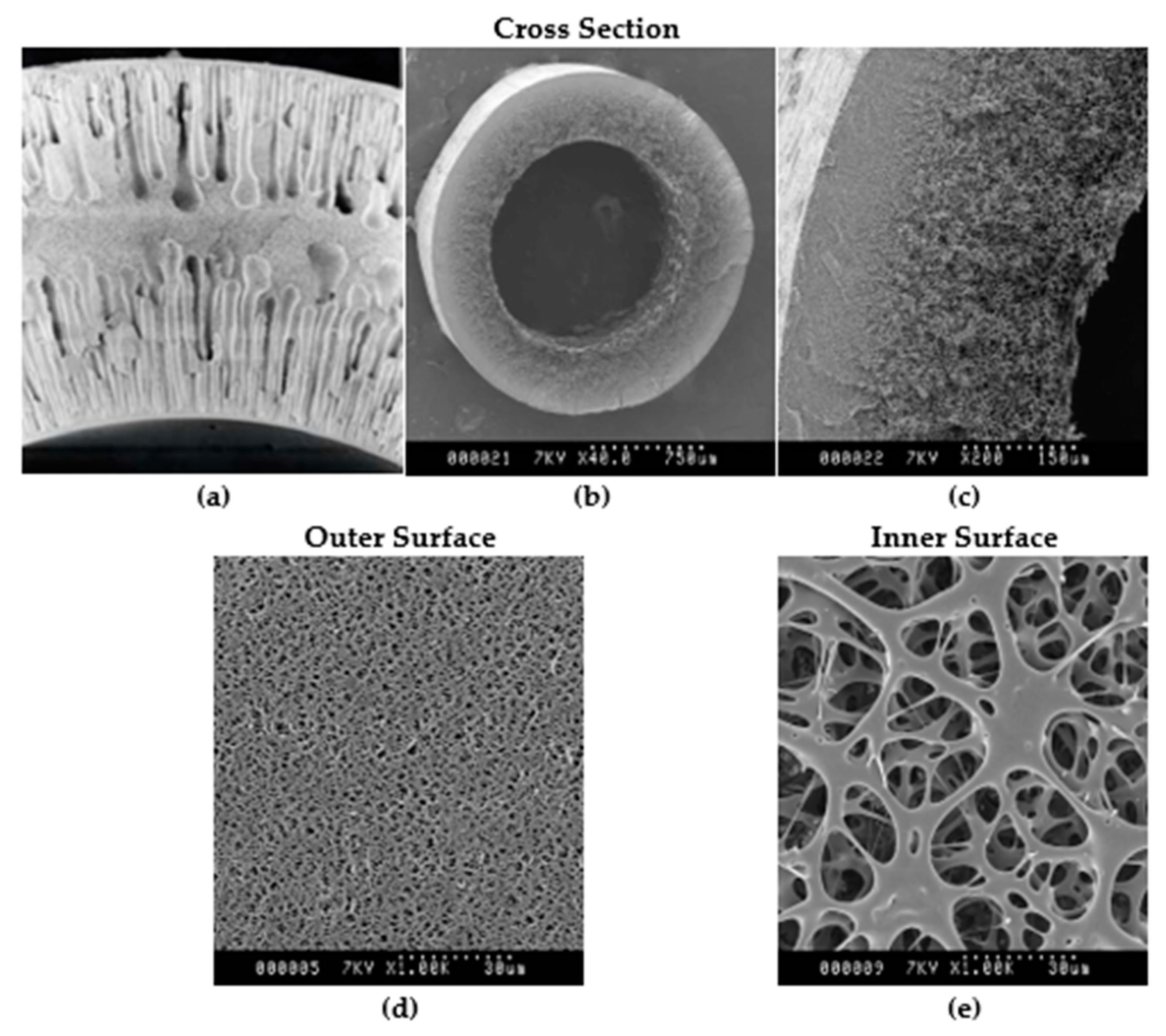 Membranes 15 00078 g004