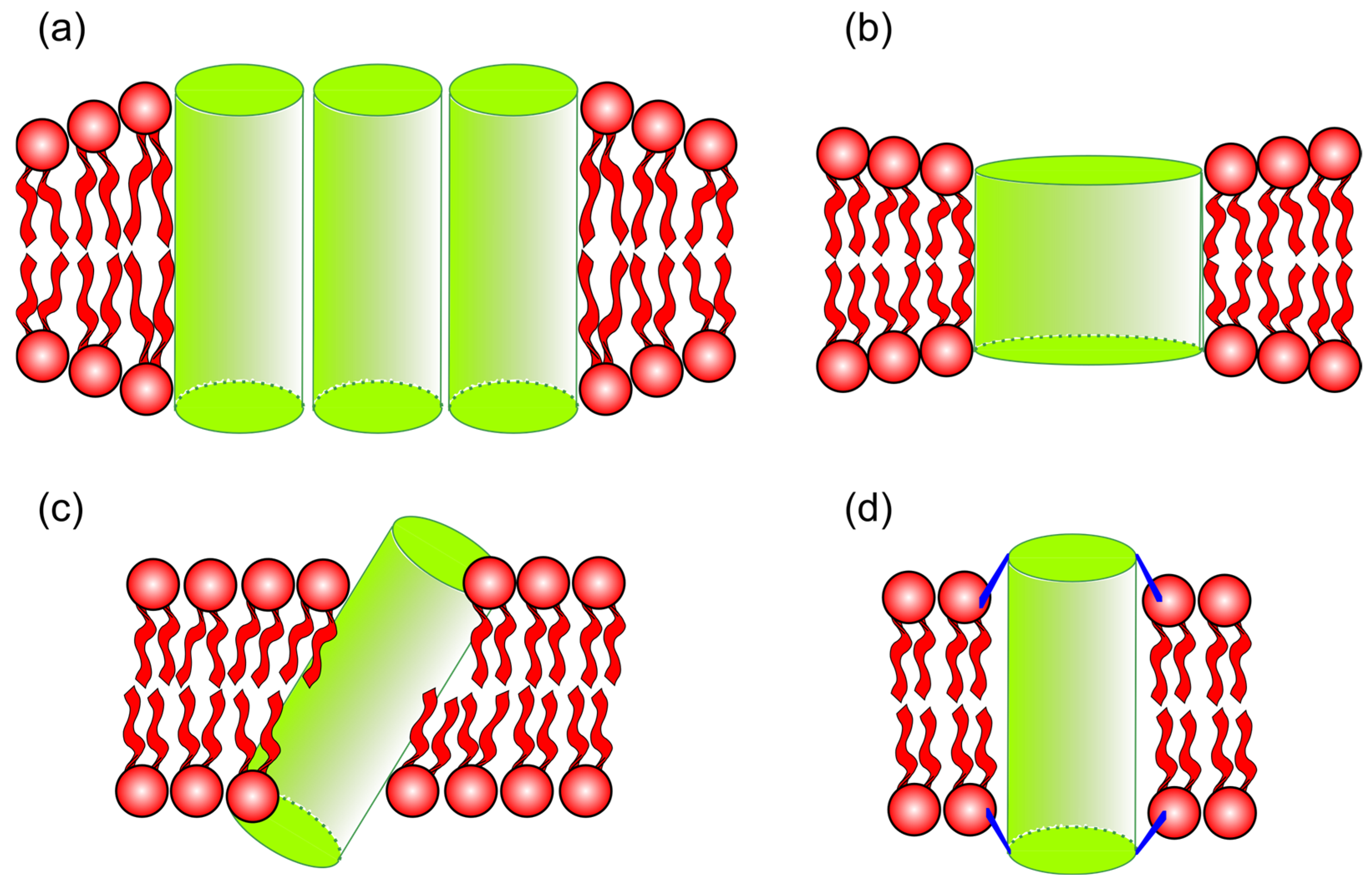Membranes 15 00079 g005