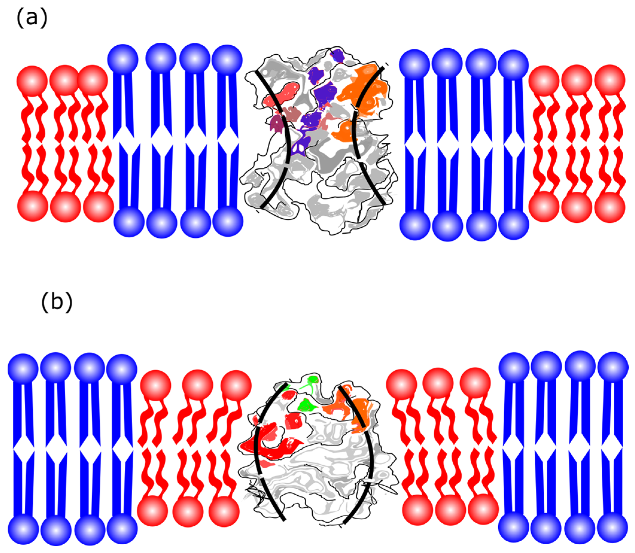 Membranes 15 00079 g006