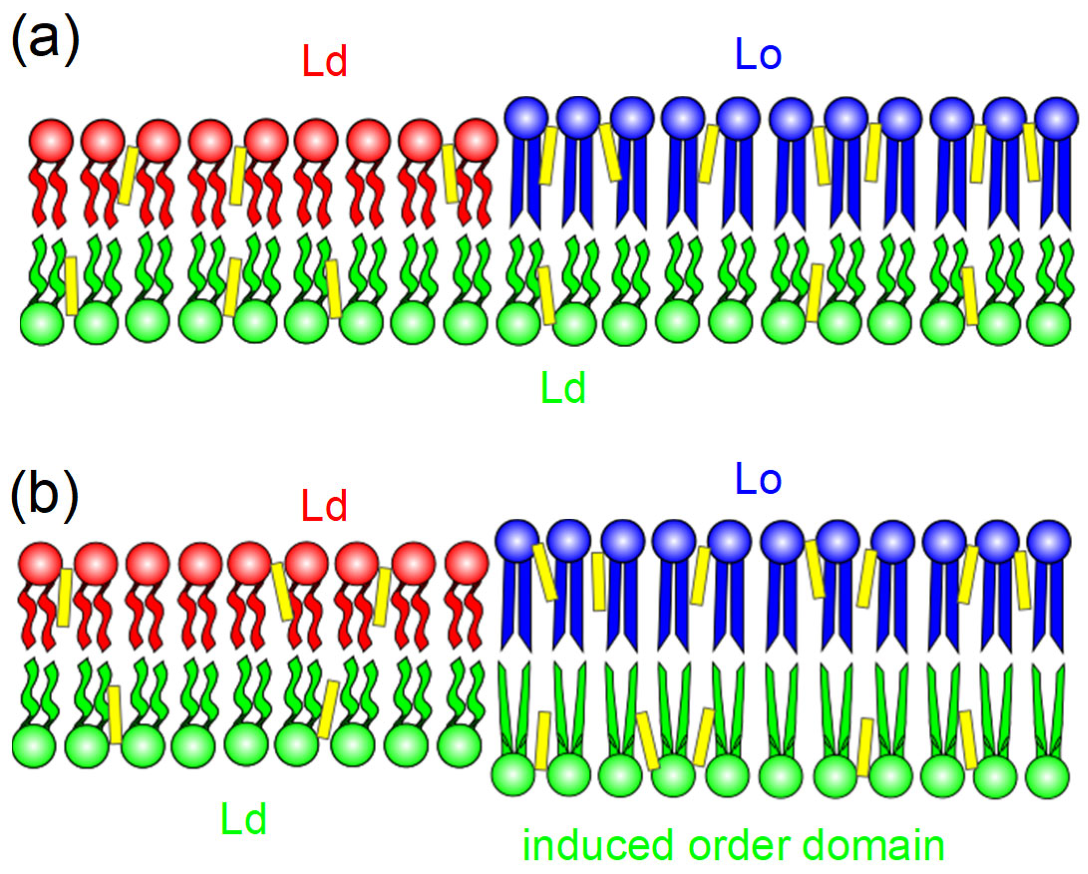 Membranes 15 00079 g013