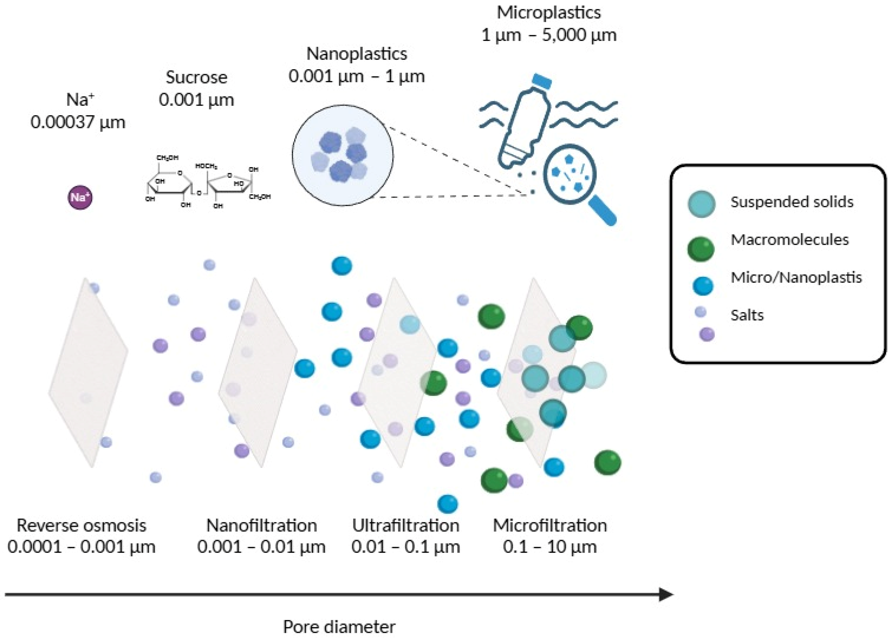 Membranes 15 00081 g002