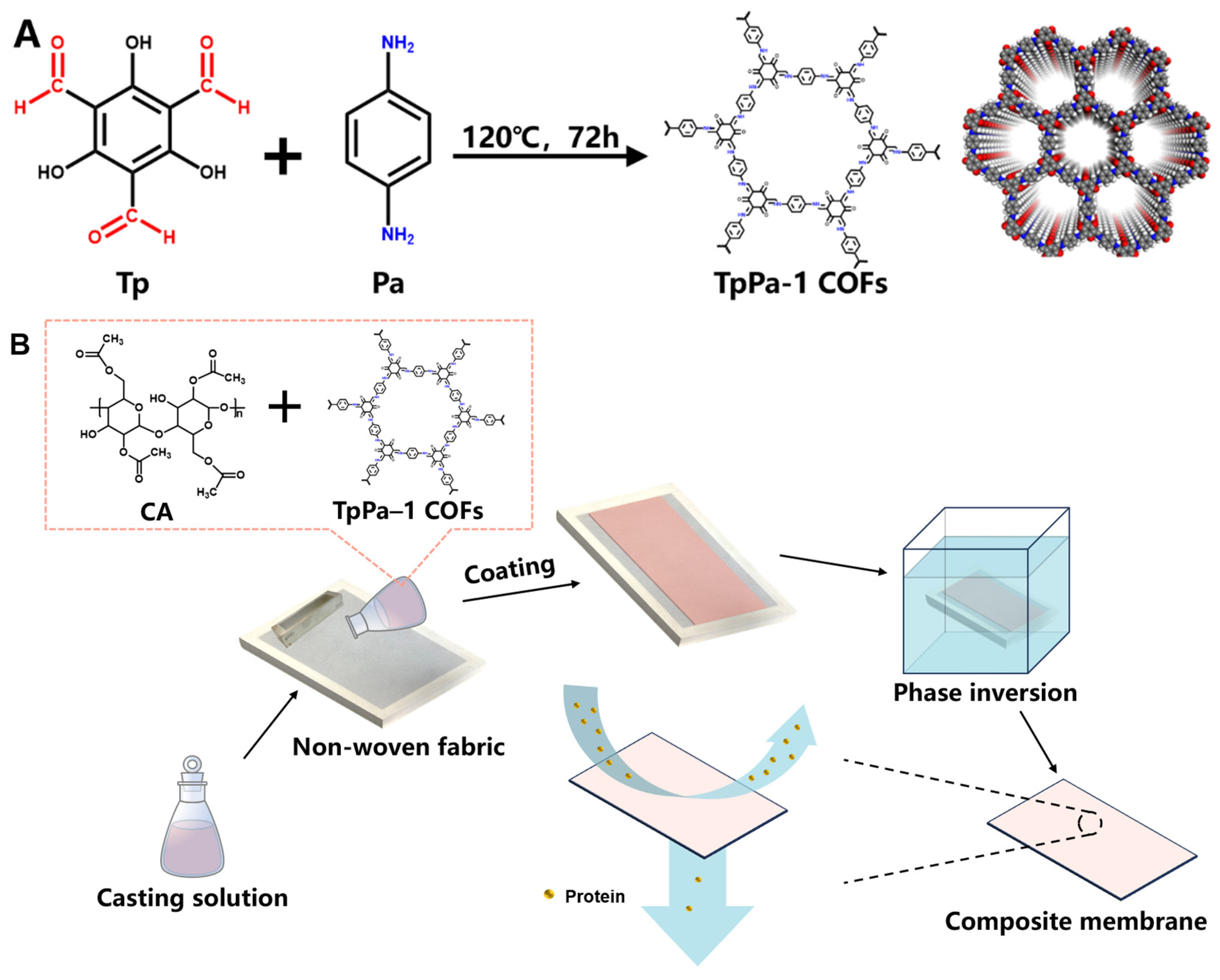 Membranes 15 00084 g001