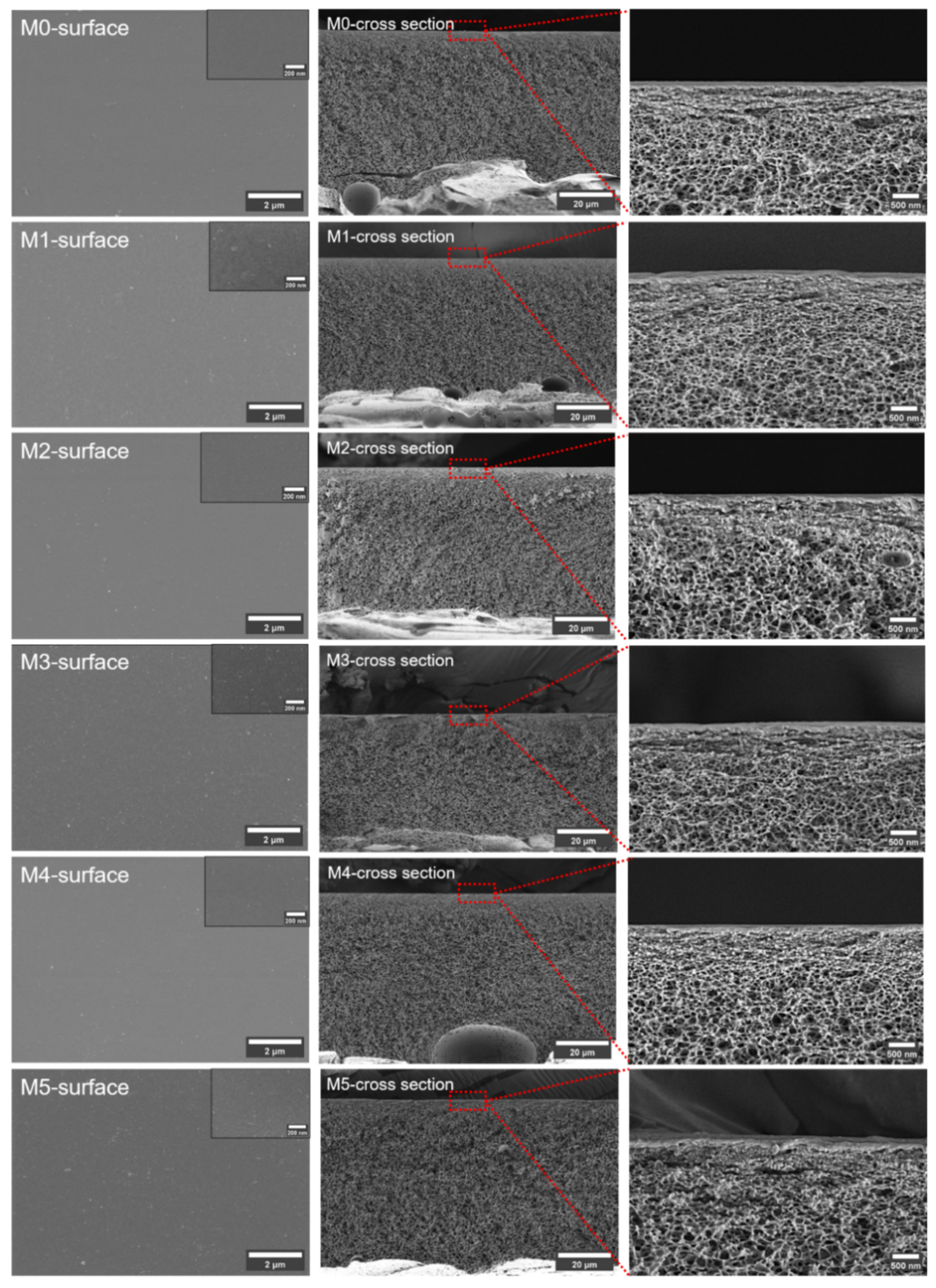 Membranes 15 00084 g003