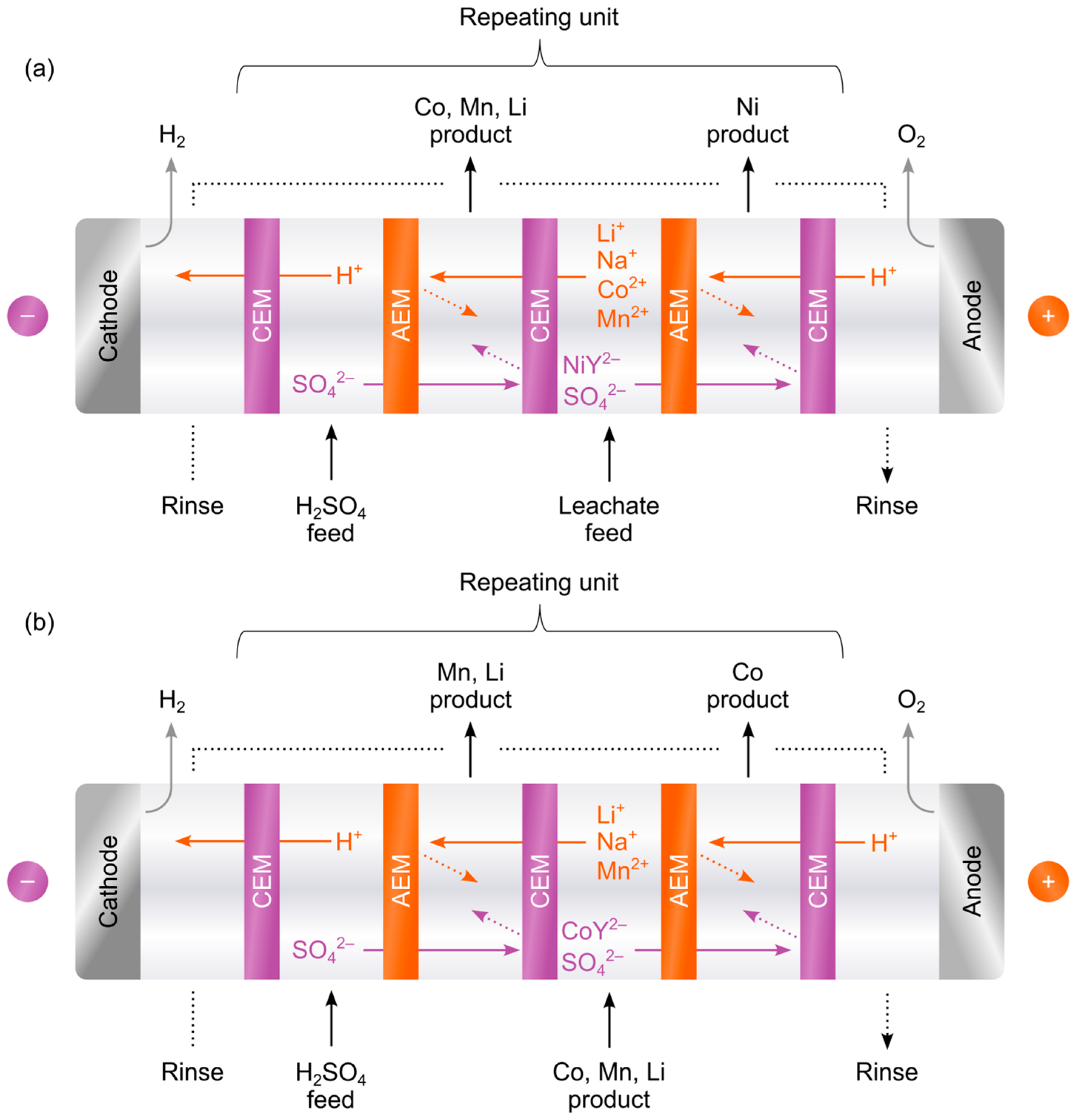 Membranes 15 00097 g001