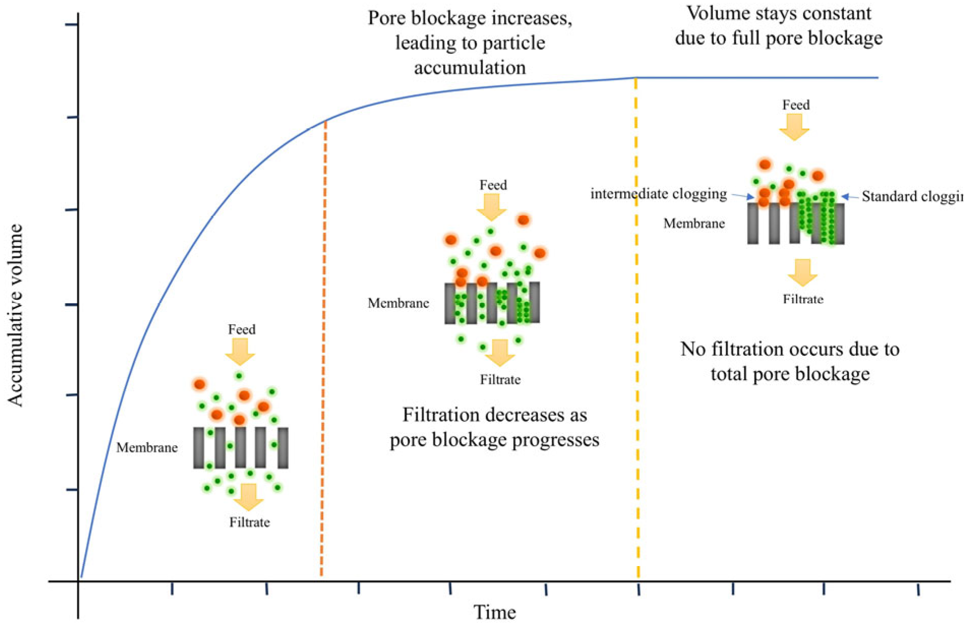 Membranes 15 00099 g005