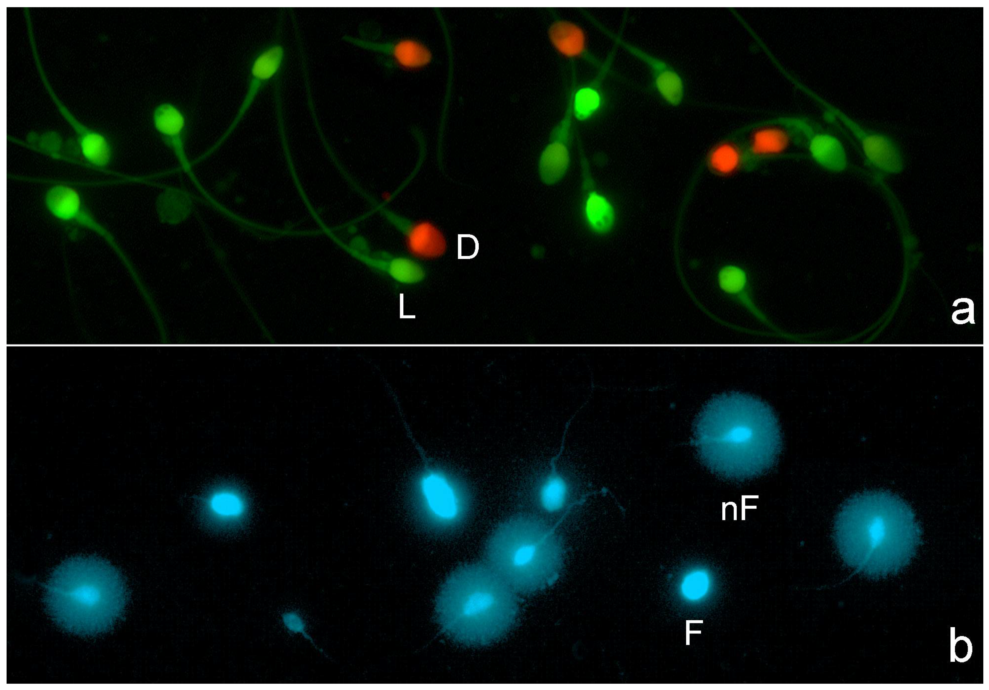 Membranes 15 00109 g001