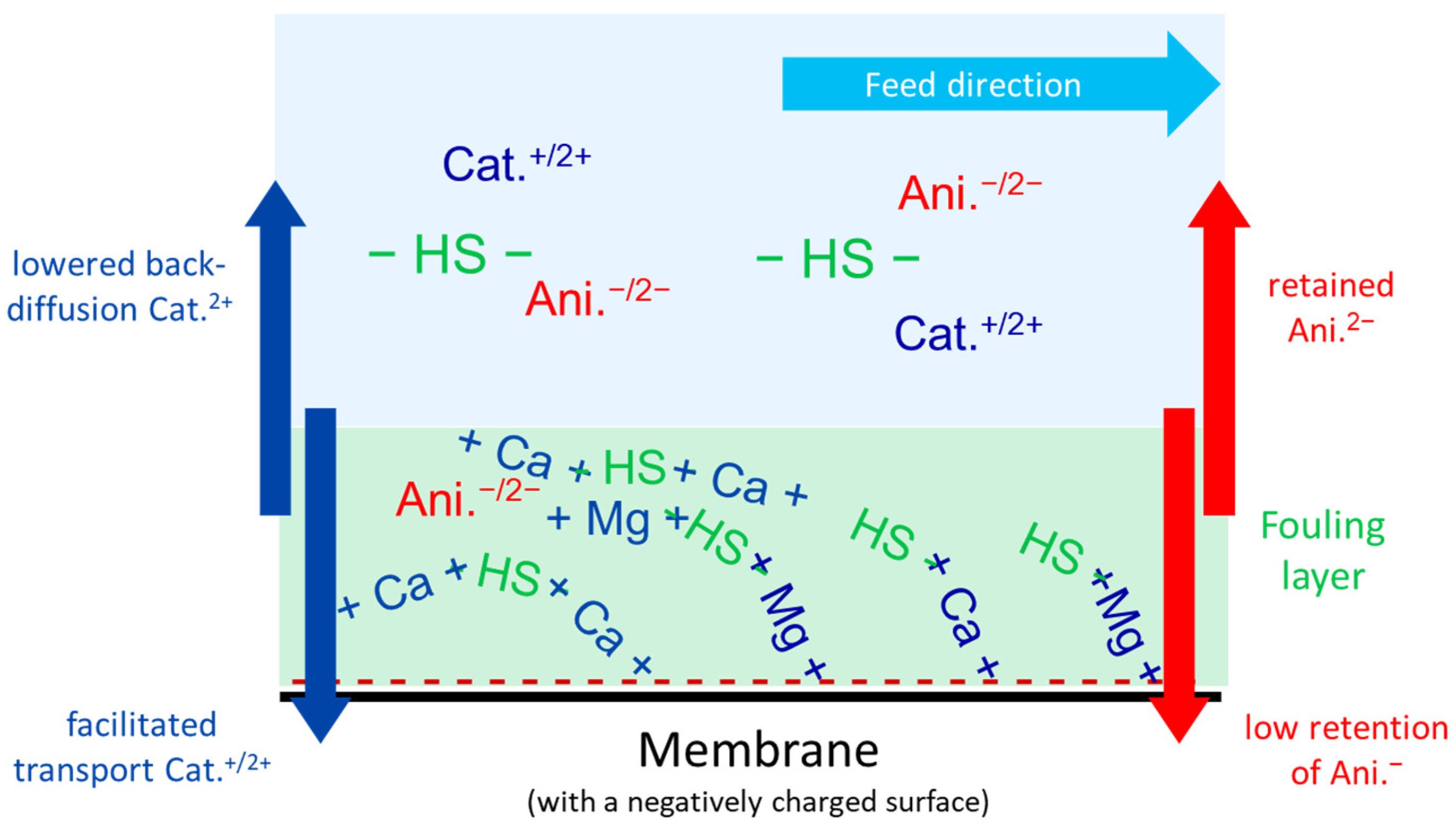 Membranes 15 00110 g006
